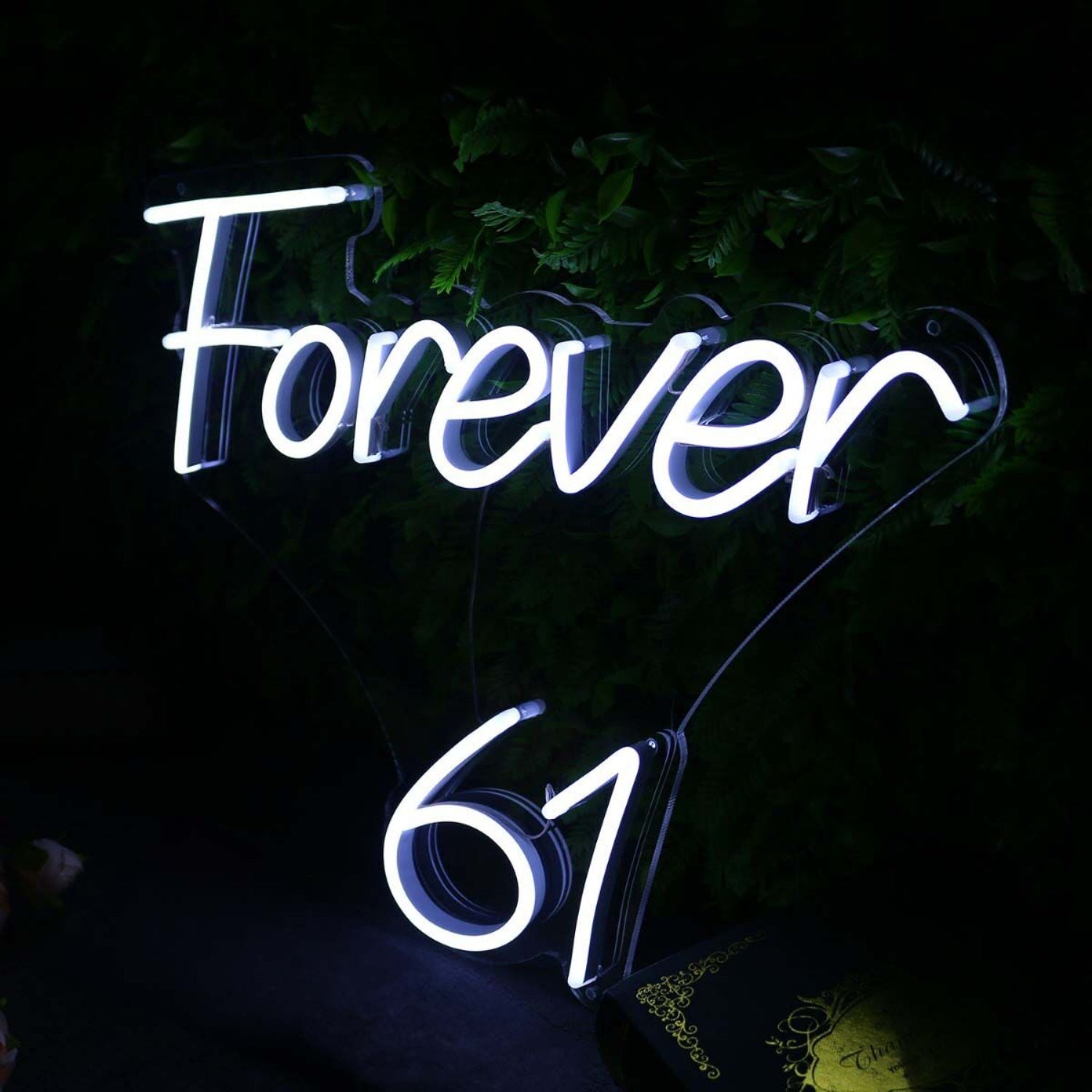 Forever 61 White Neon Sign | Shineneon