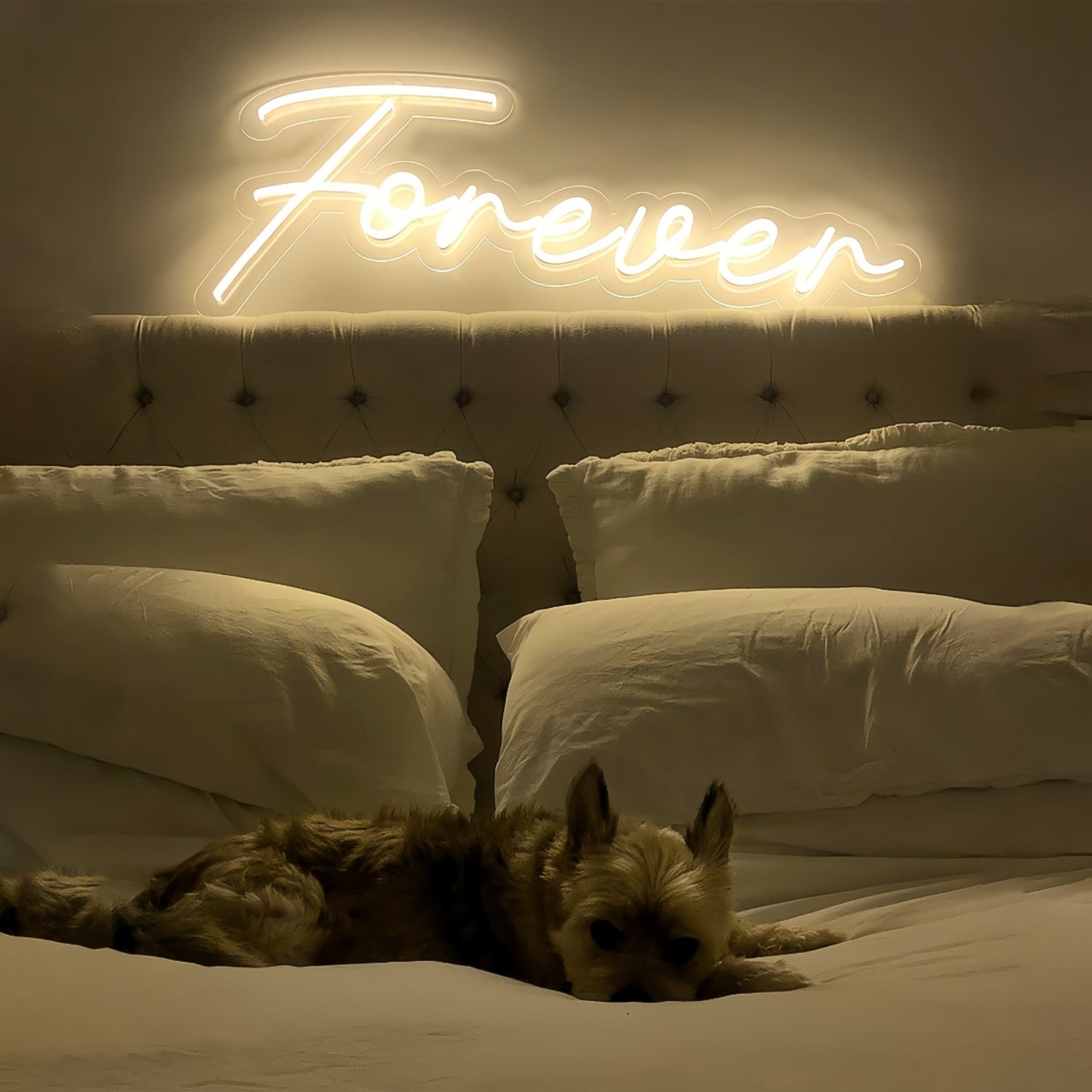 Forever With Neon Art | Shineneon