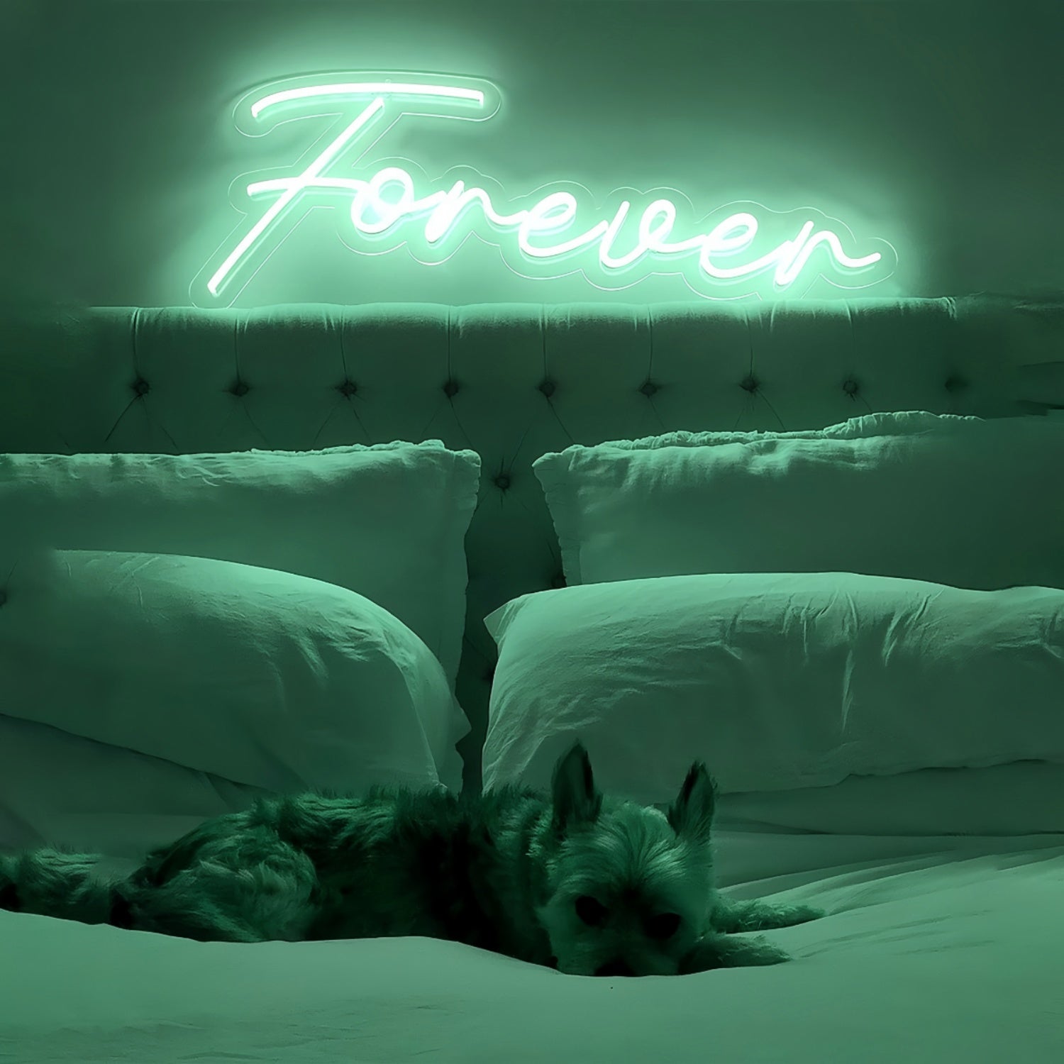 Forever With Neon Art | Shineneon