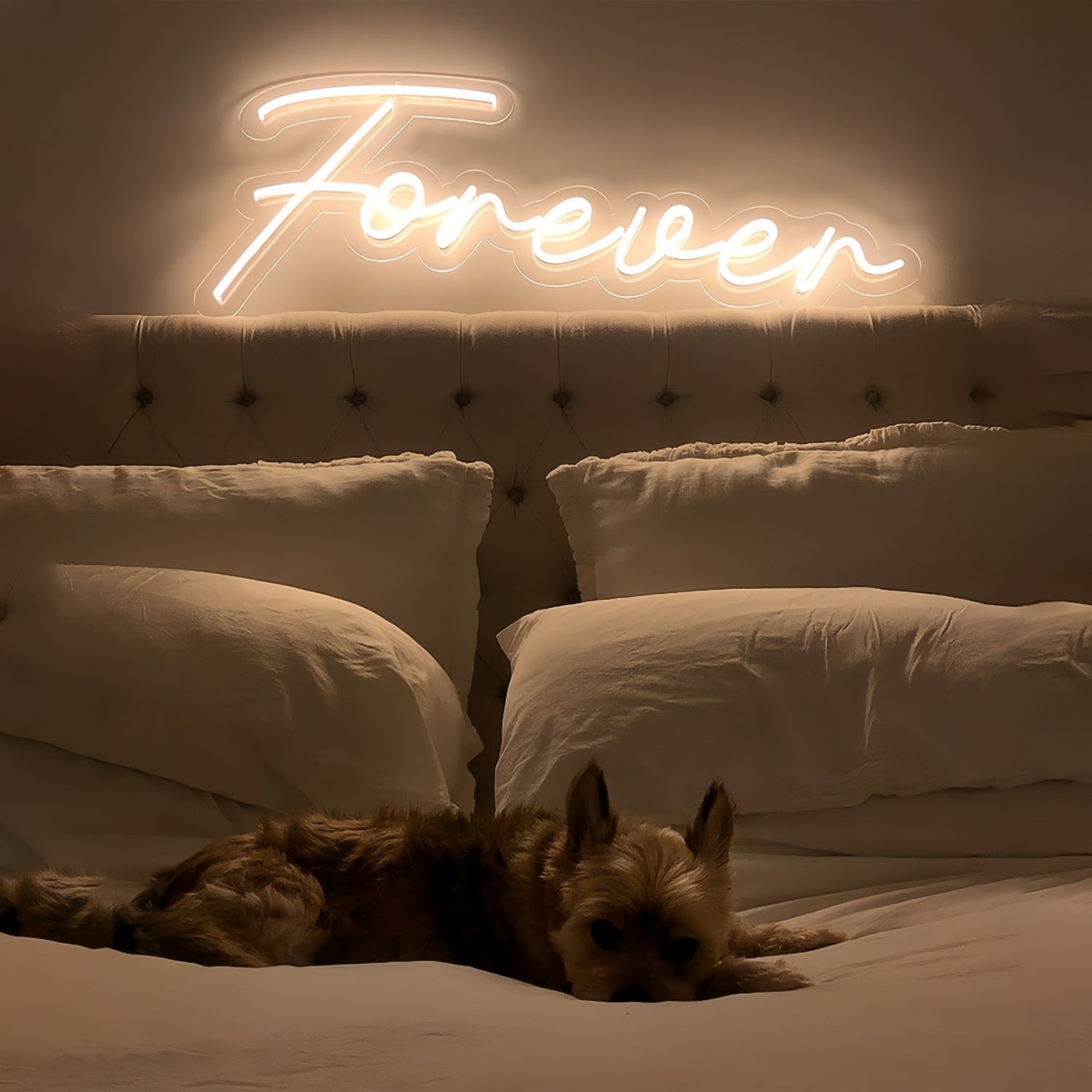 Forever With Neon Art | Shineneon