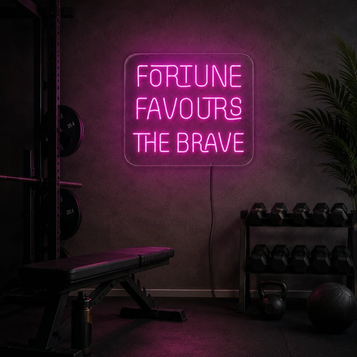 Fortune Favours The Brave LED Neon Sign - Shineneon