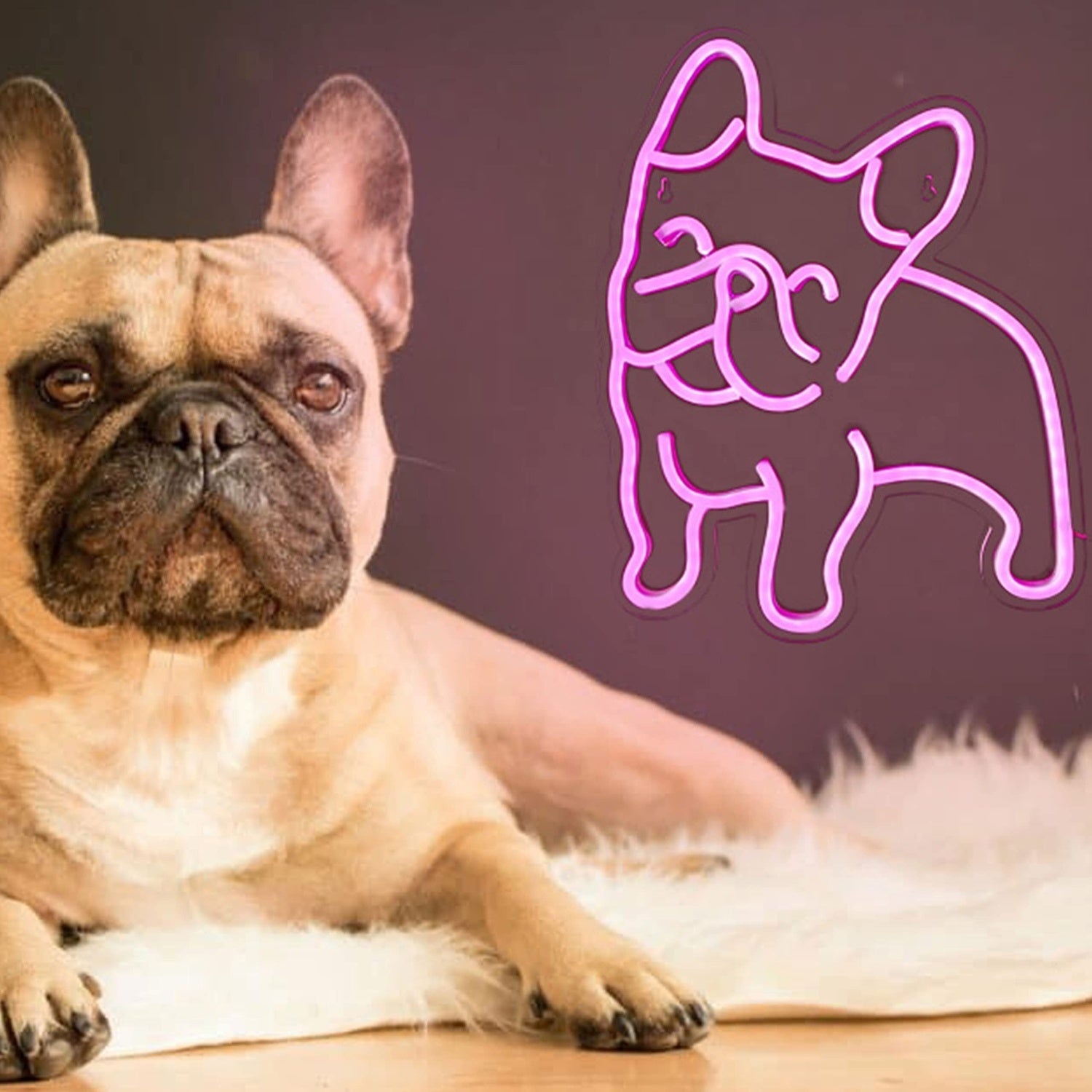 French Bulldog Cute Dog Led Neon Sign For Pets House | Shineneon