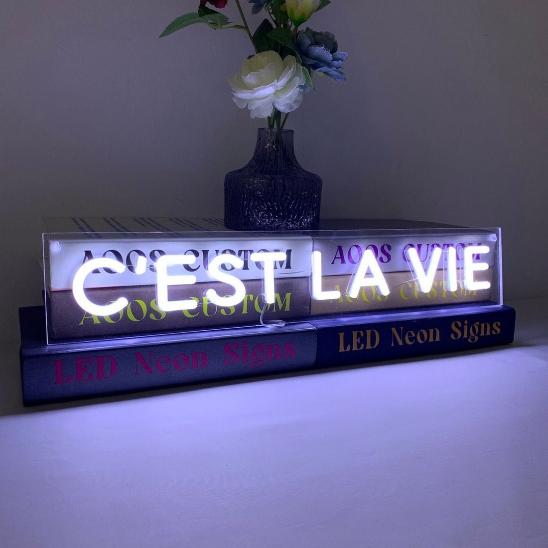 French Cest La Vie Led Sign Business Neon Sign - Shineneon