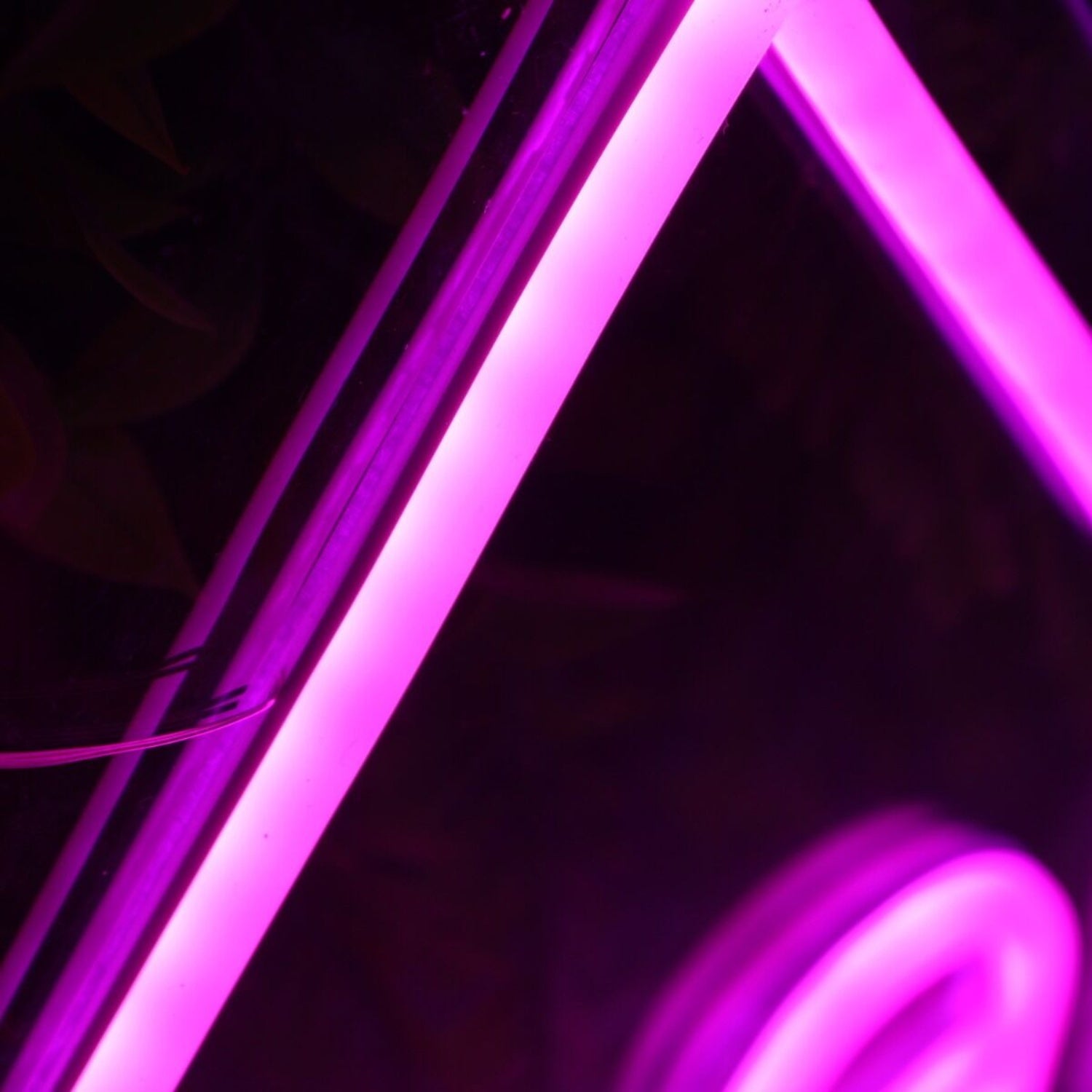 Gel - X Professional Purple Led Neon Sign - Shineneon