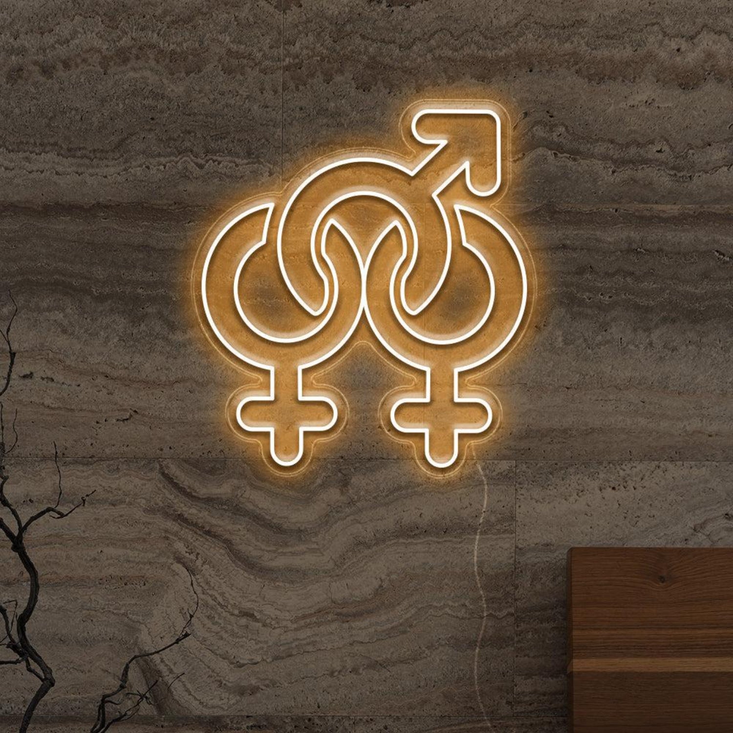 Gender Fluid Symbols Led Neon Sign For Lgbtq Bars Studios | Shineneon