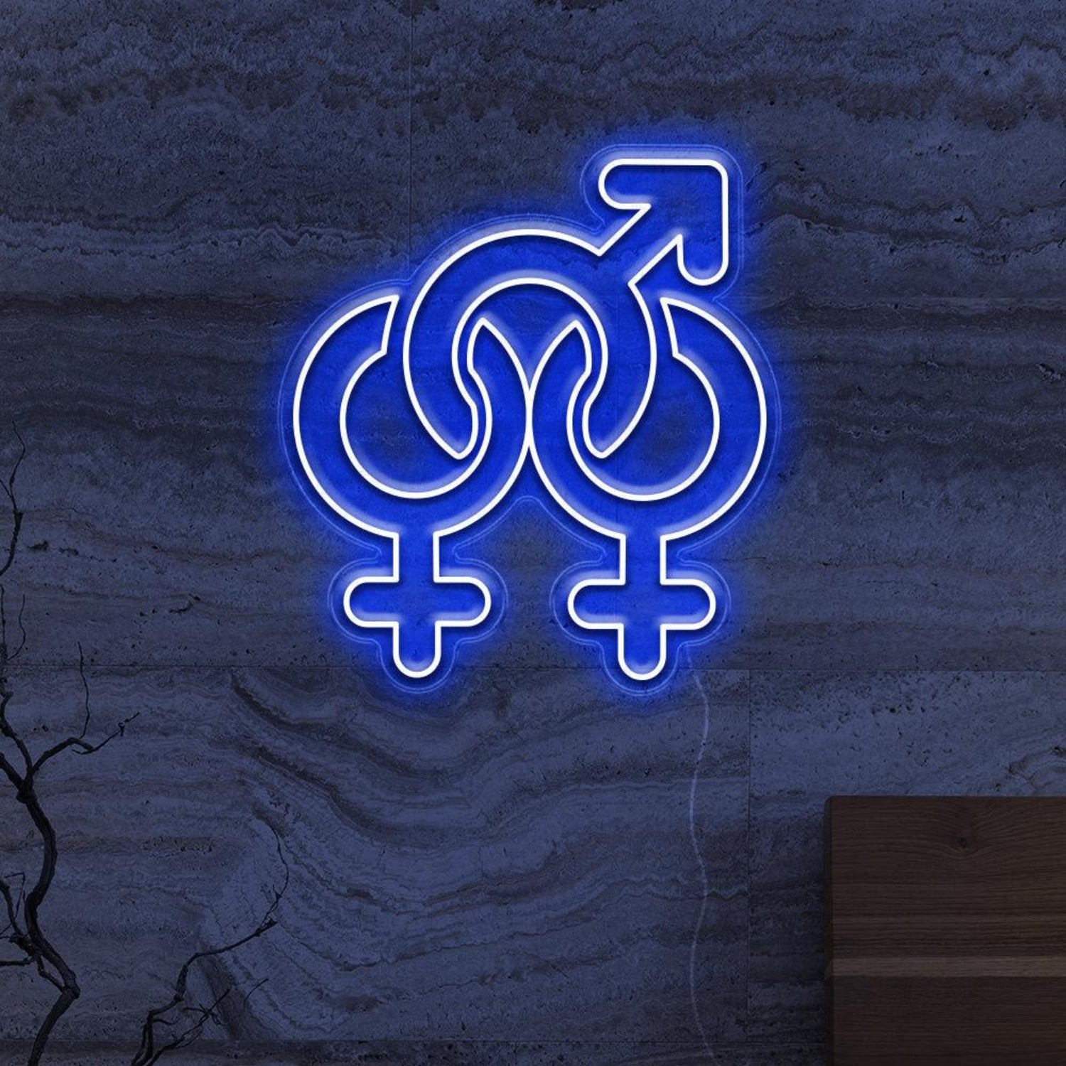 Gender Fluid Symbols Led Neon Sign For Lgbtq Bars Studios | Shineneon