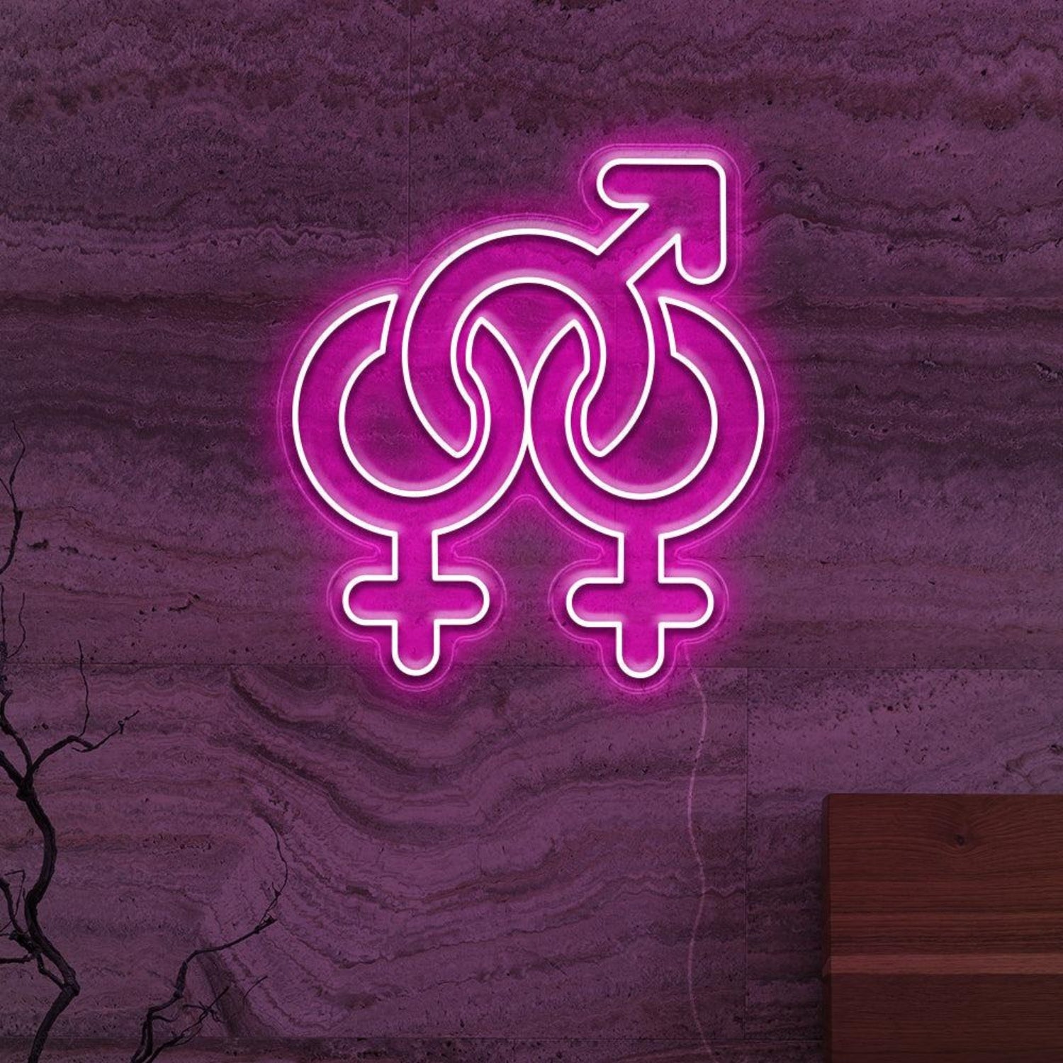 Gender Fluid Symbols Led Neon Sign For Lgbtq Bars Studios | Shineneon
