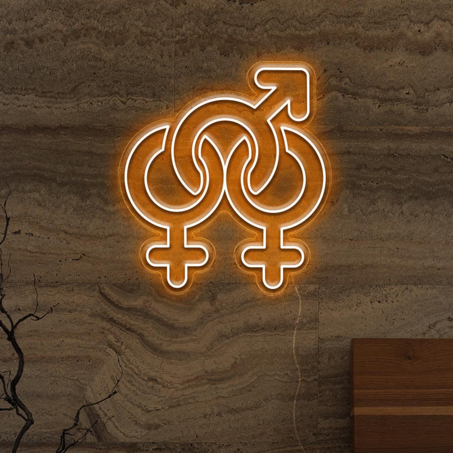 Gender Fluid Symbols Led Neon Sign For Lgbtq Bars Studios | Shineneon