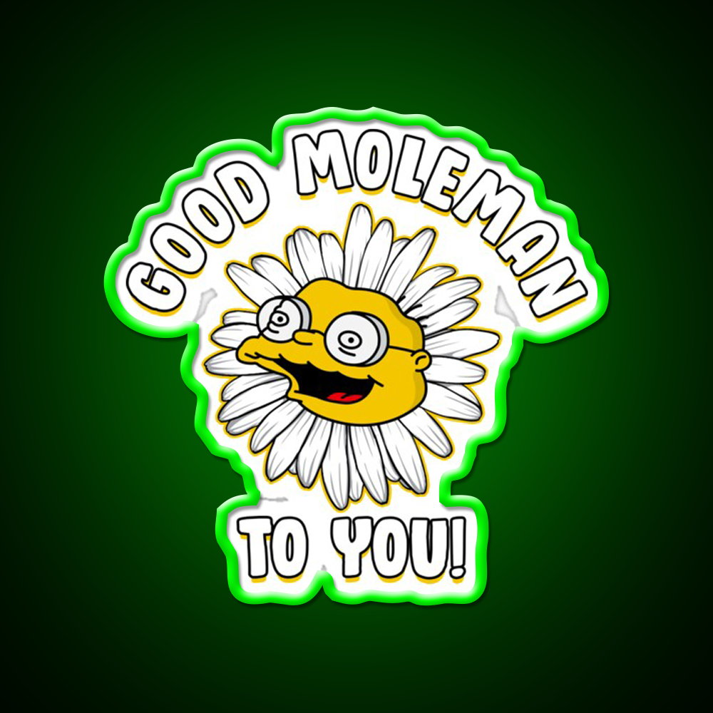 Good Moleman To You Beer Bar Decor Led Neon Sign Rgb Color - LED neon sign view 8