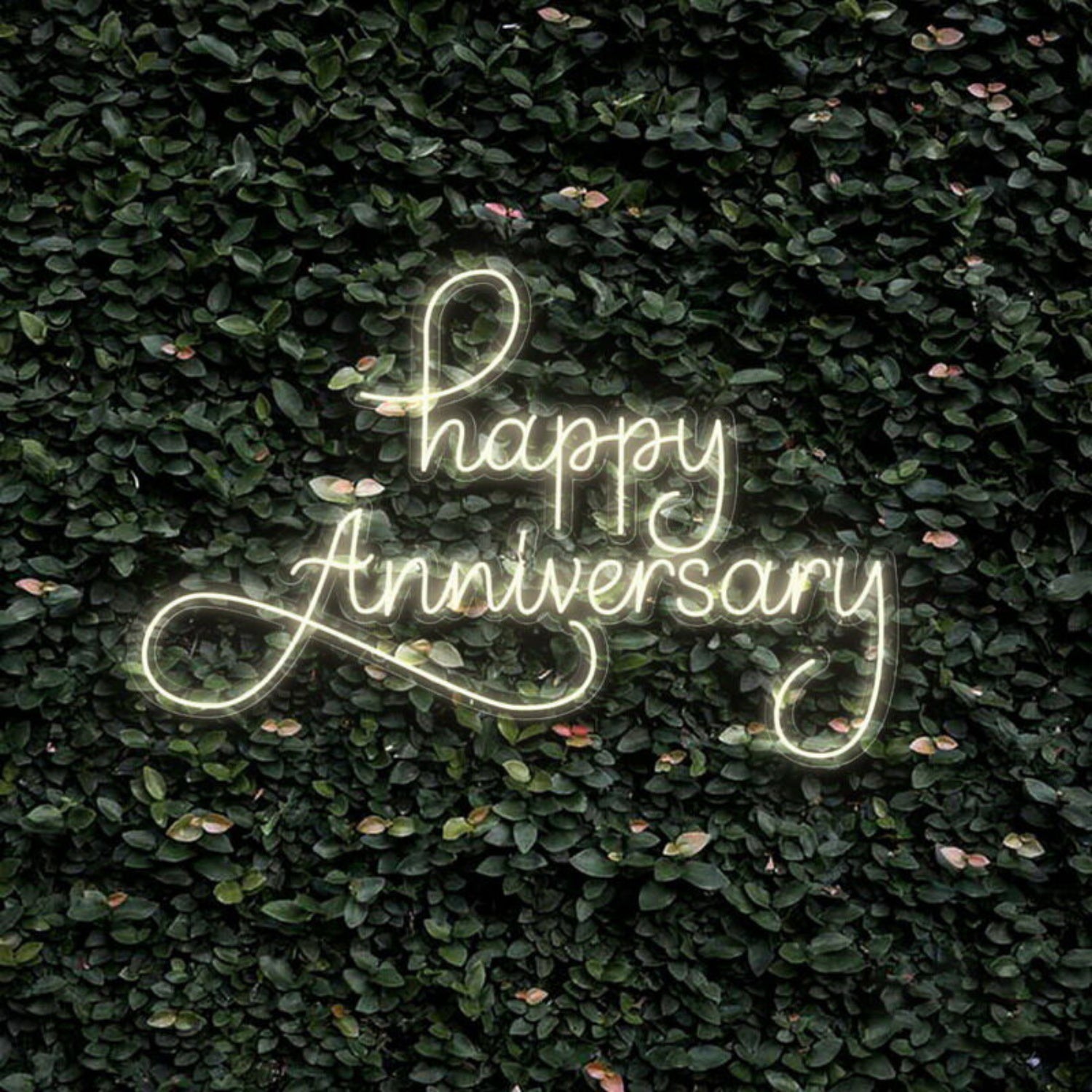 Happy Anniversary Neon Sign | Shineneon