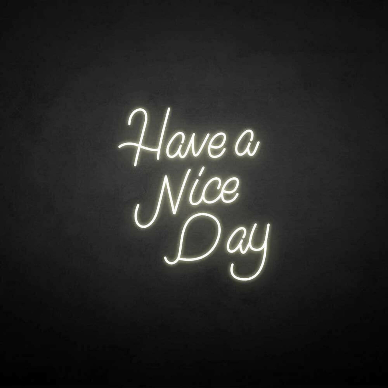 Have A Nice Day Neon Sign | Shineneon
