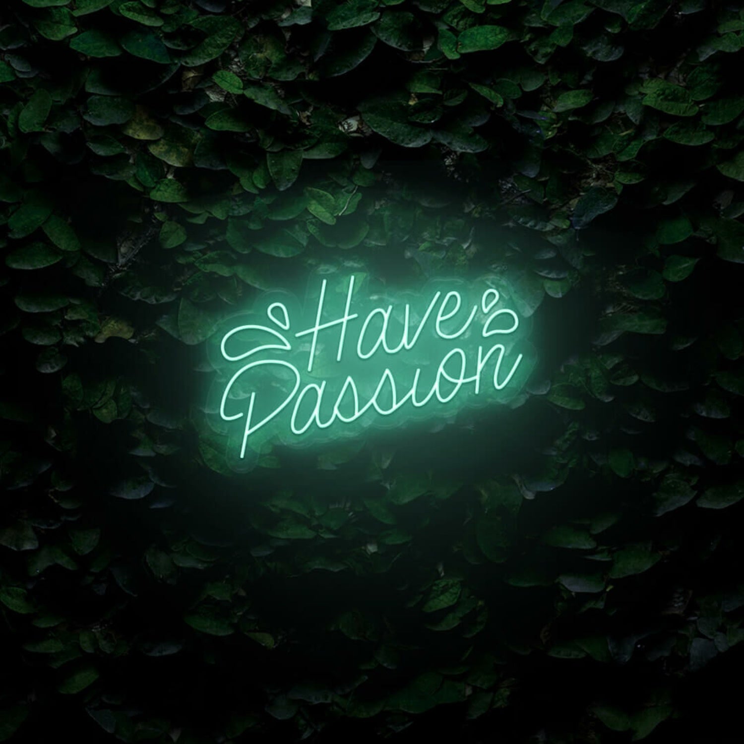 Have Passion Led Sign | Shineneon