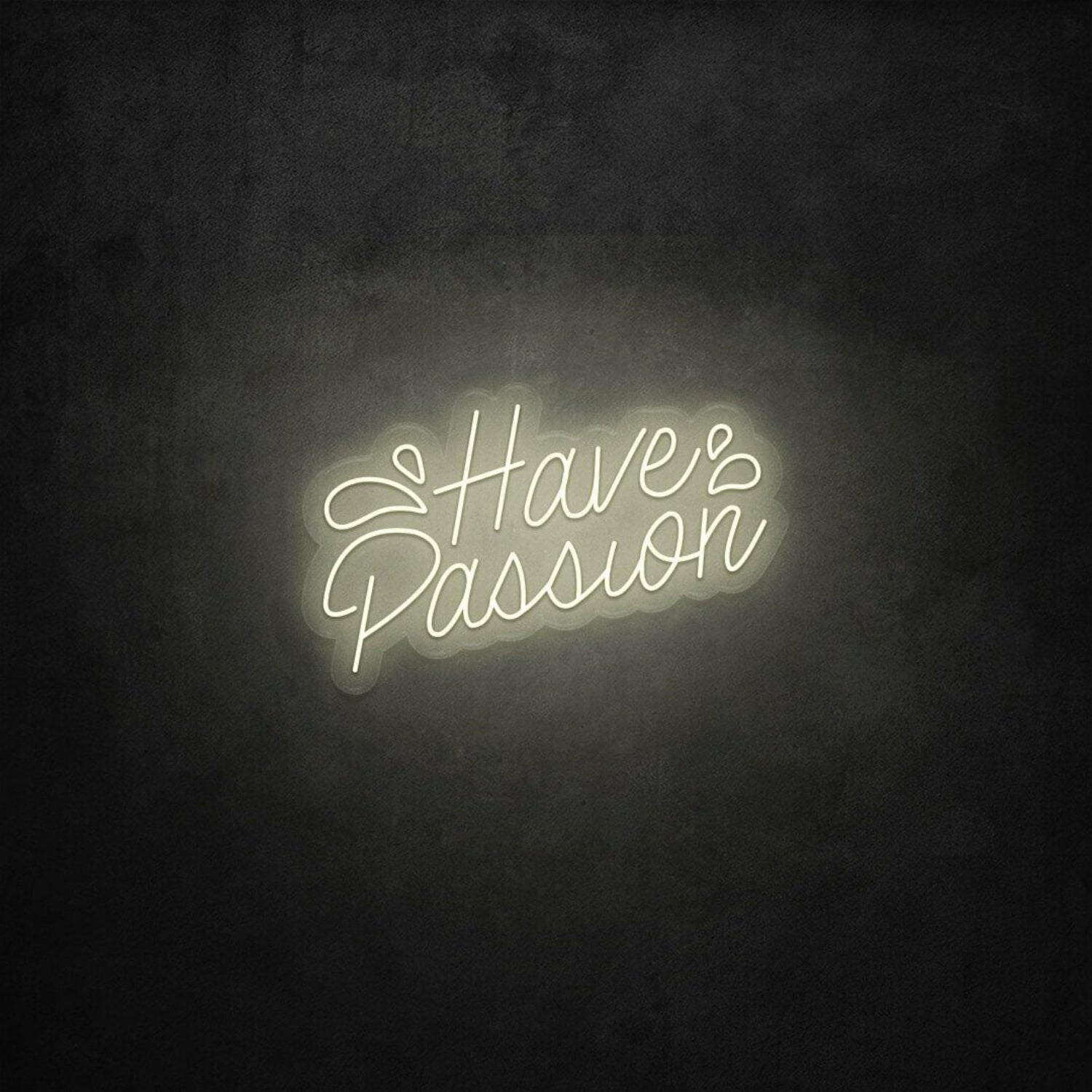 Have Passion Led Sign | Shineneon