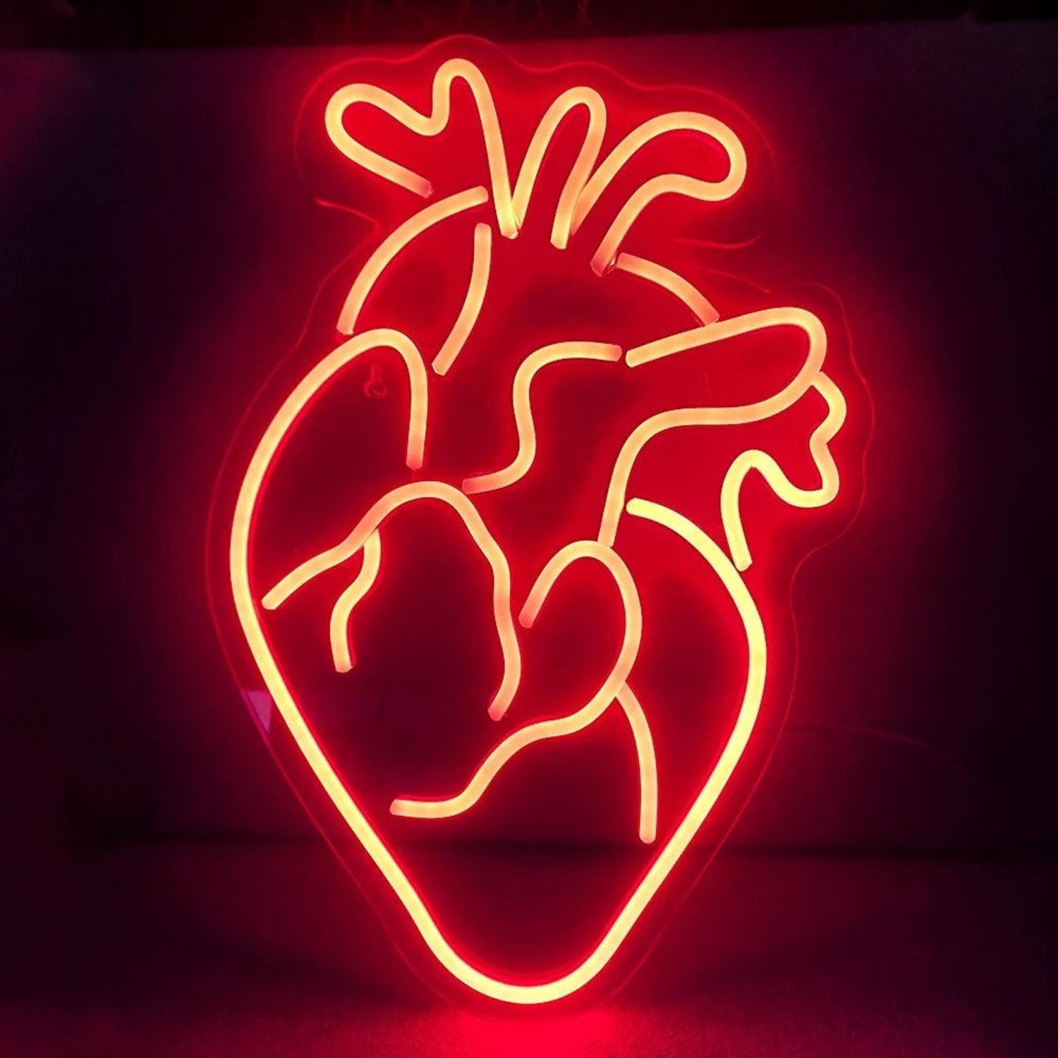 Heart Anatomy Red Led Neon Sign For Indoor Decor Bars Medical Spaces - Shineneon