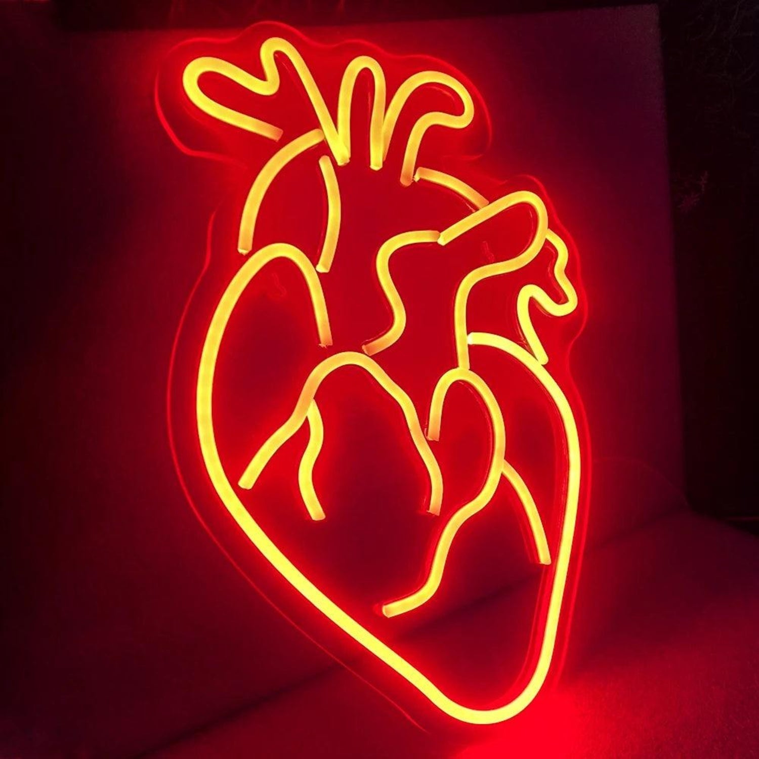 Heart Anatomy Red Led Neon Sign For Indoor Decor Bars Medical Spaces - Shineneon