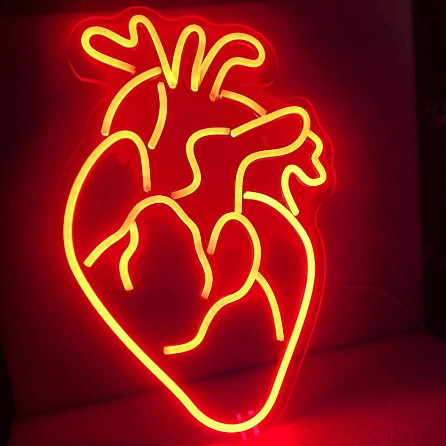 Heart Anatomy Red Led Neon Sign For Indoor Decor Bars Medical Spaces - Shineneon