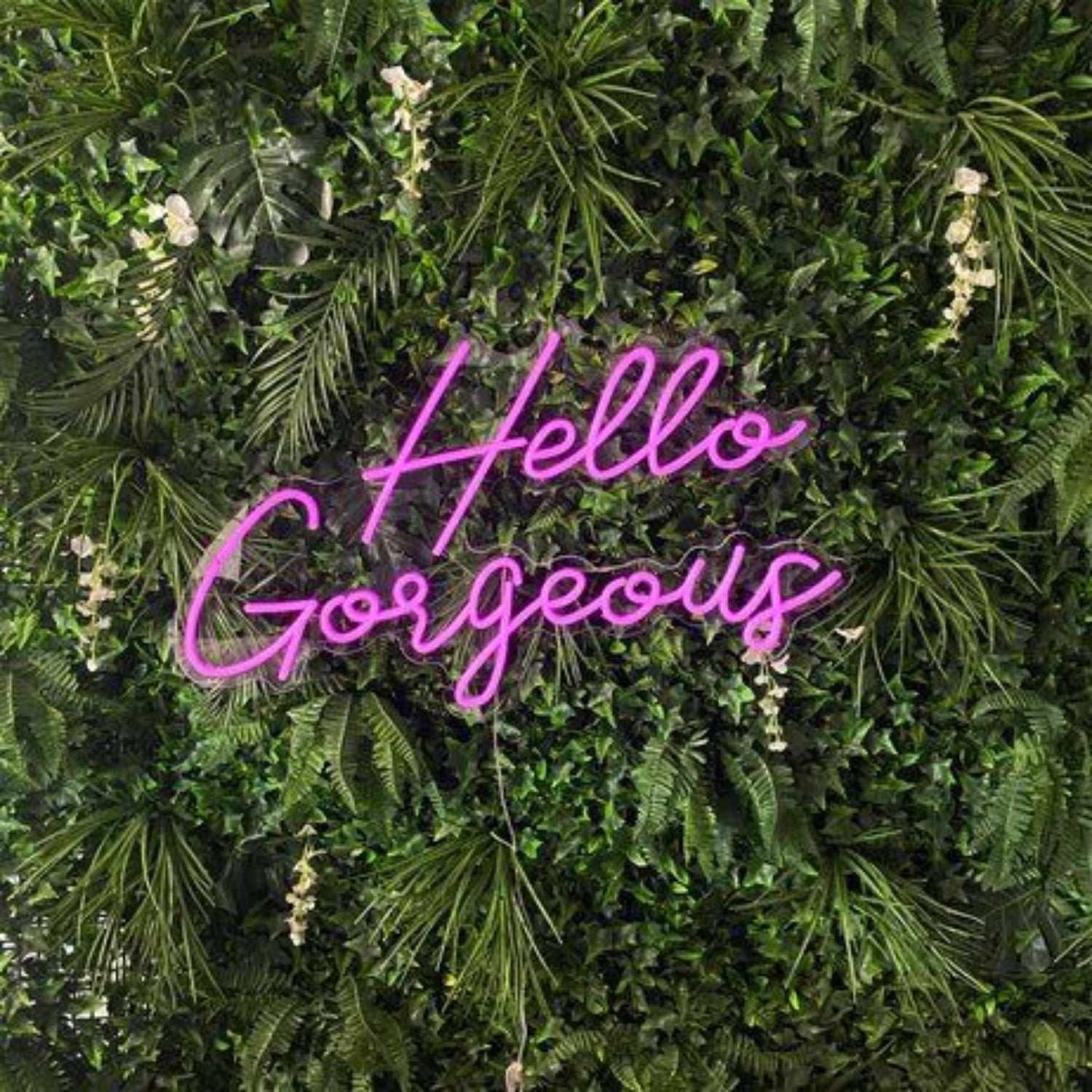 Hello Gorgeous Led Neon Sign For Positive And Fun For Wall Decor - Shineneon