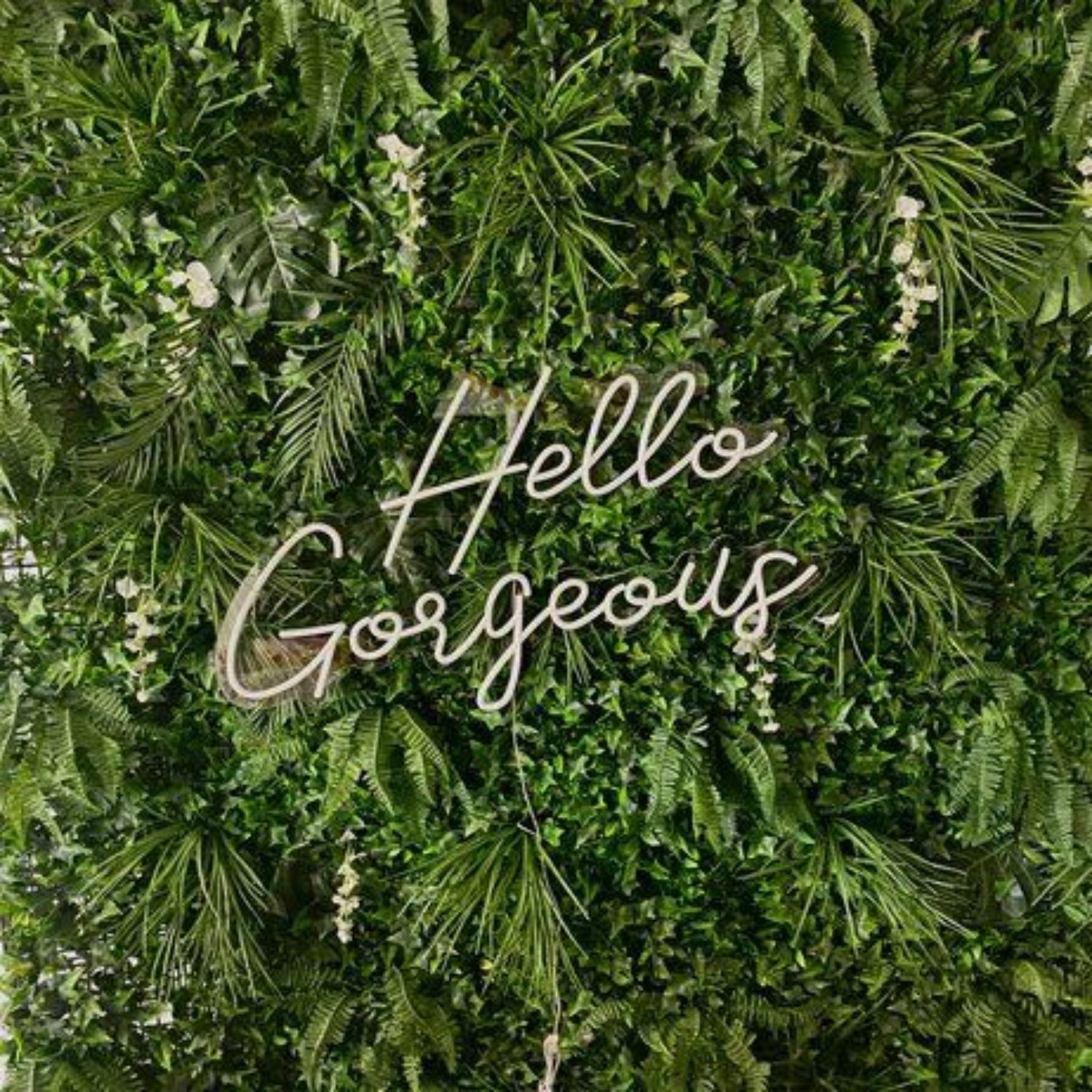 Hello Gorgeous Led Neon Sign For Positive And Fun For Wall Decor - Shineneon