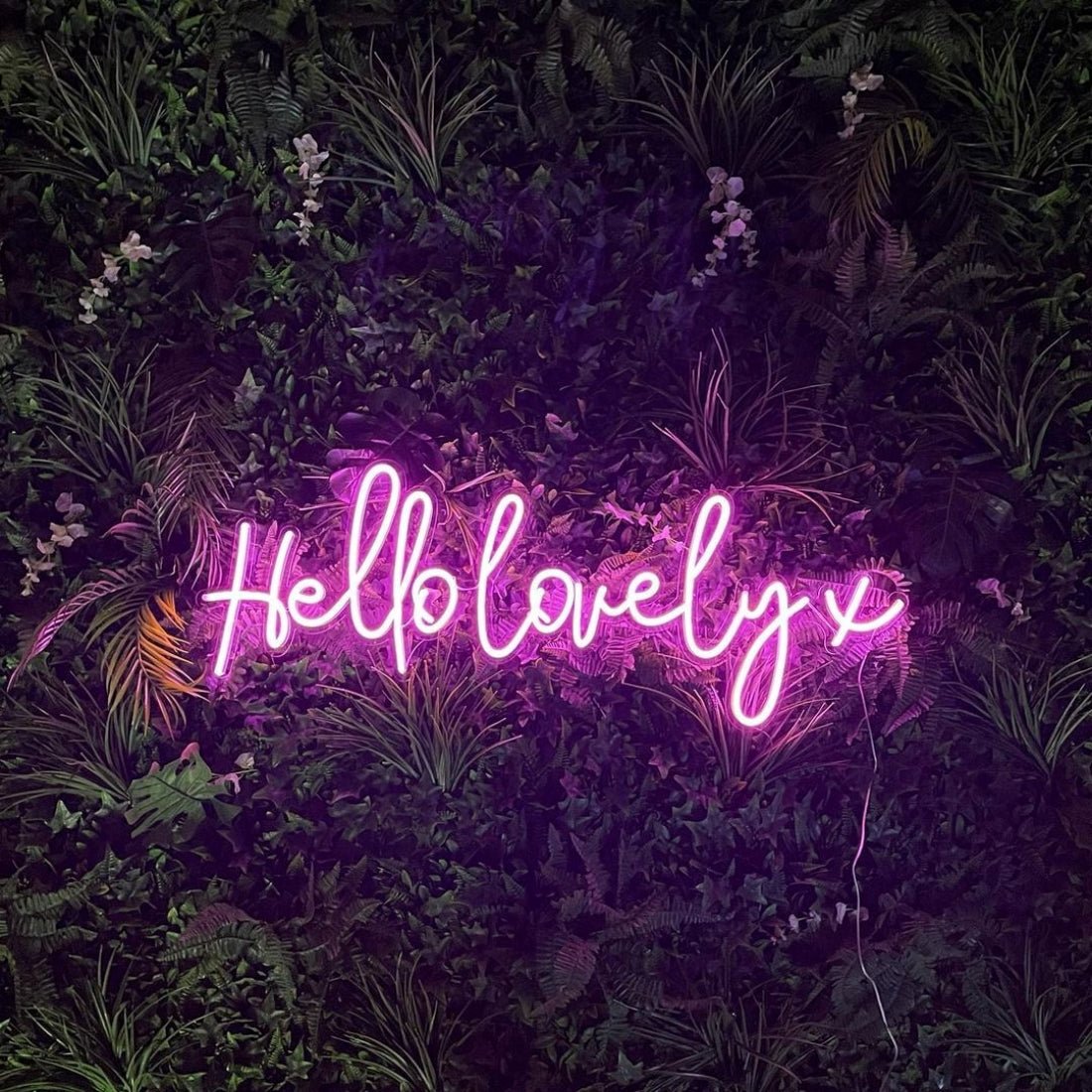 Hello Lovely Led Sign Business Neon Signs - Shineneon