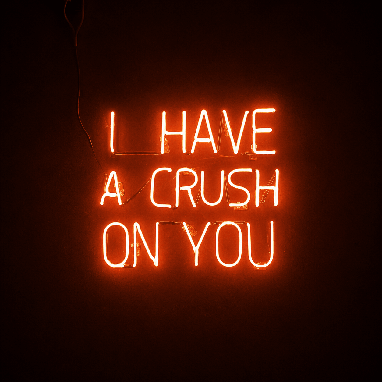 I Have A Crush LED Neon Sign - Shineneon