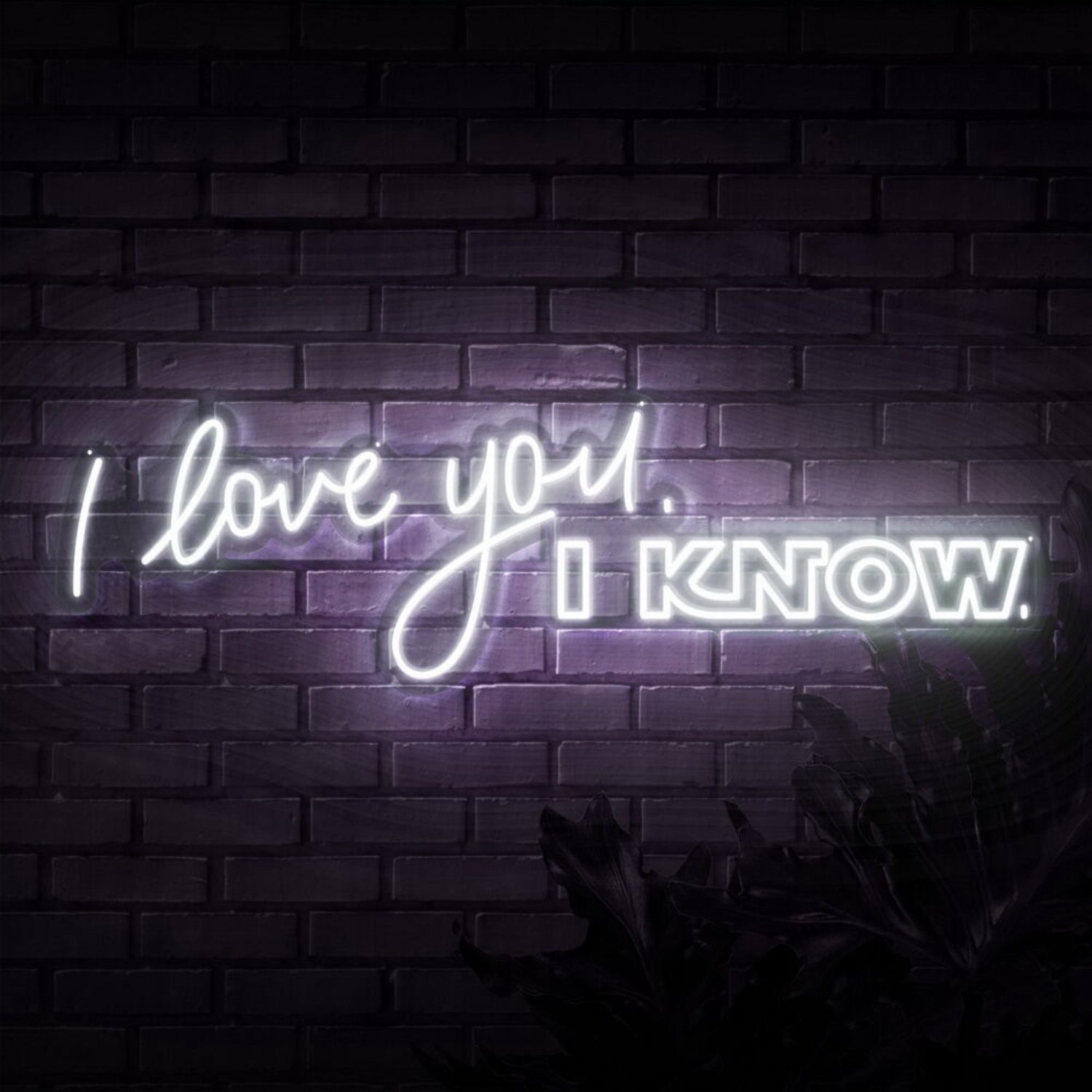 I Love You I Know Neon Sign For Romantic And Star Wars Fans | Shineneon