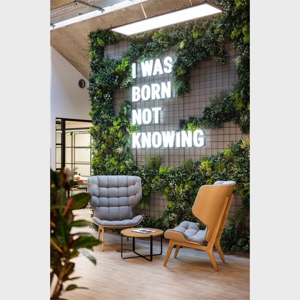 I Was Born Know Nothing 3D Frontlit Channel Letters Led Light Sign - Shineneon