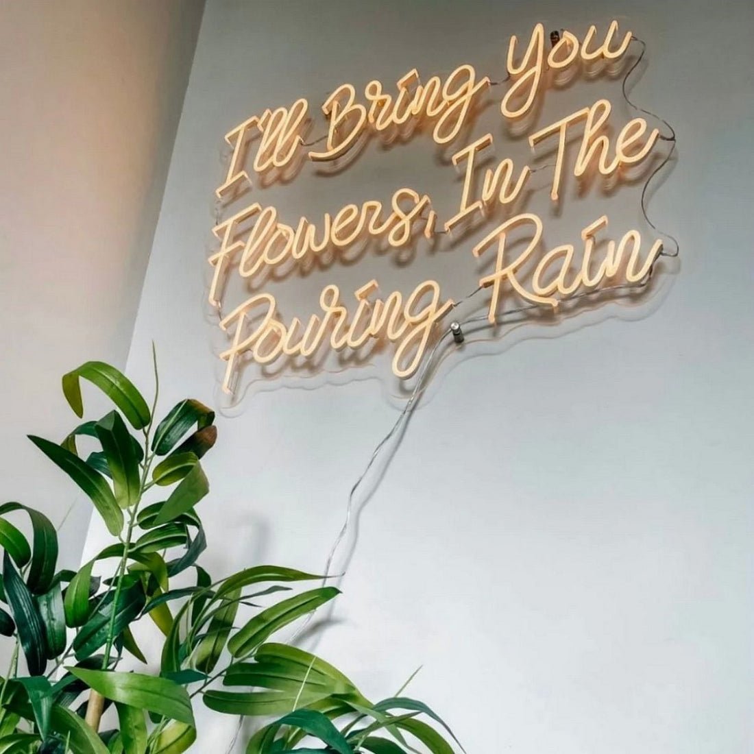 Ill Bring You Flowers In The Pouring Rain Led Sign Business Neon Sign - Shineneon