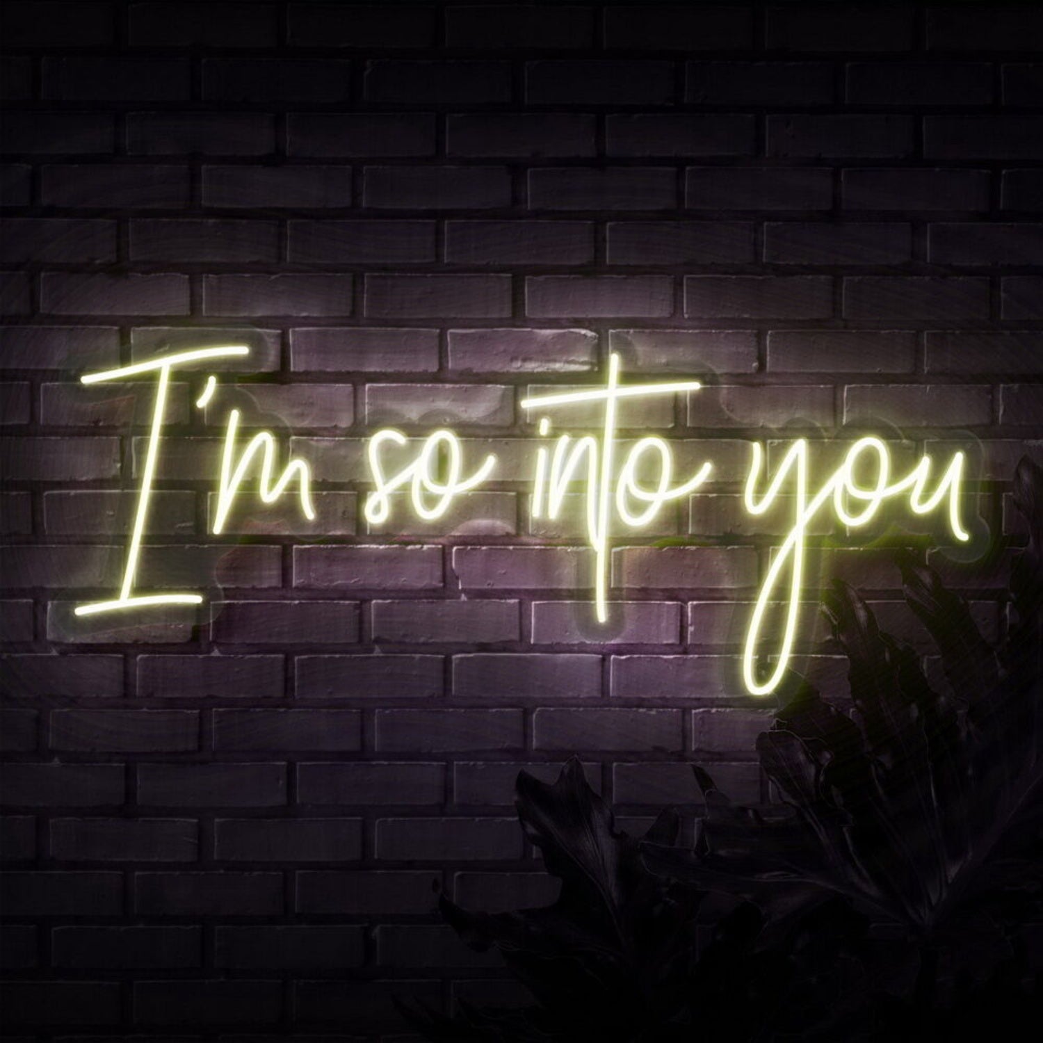 Im So Into You Neon Sign | Shineneon