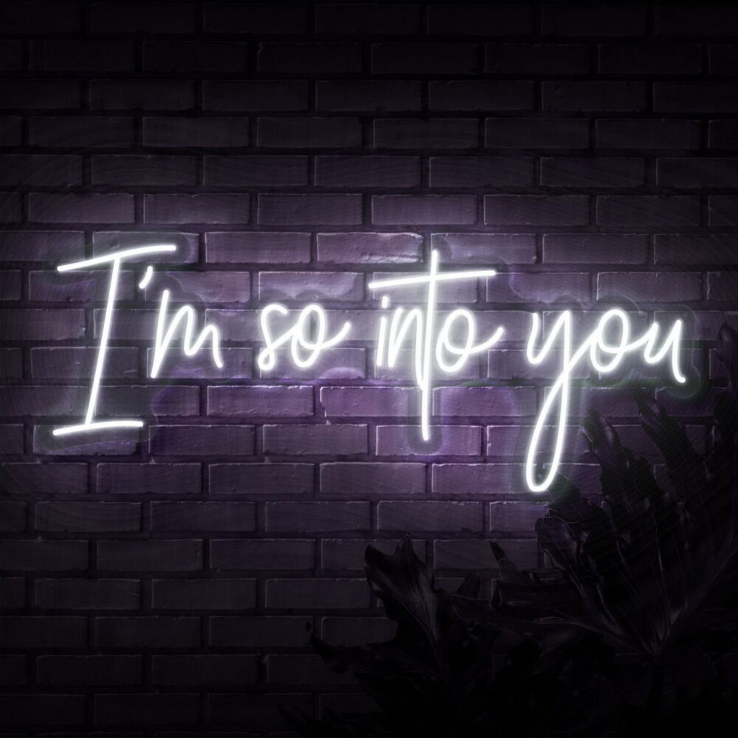 Im So Into You Neon Sign | Shineneon