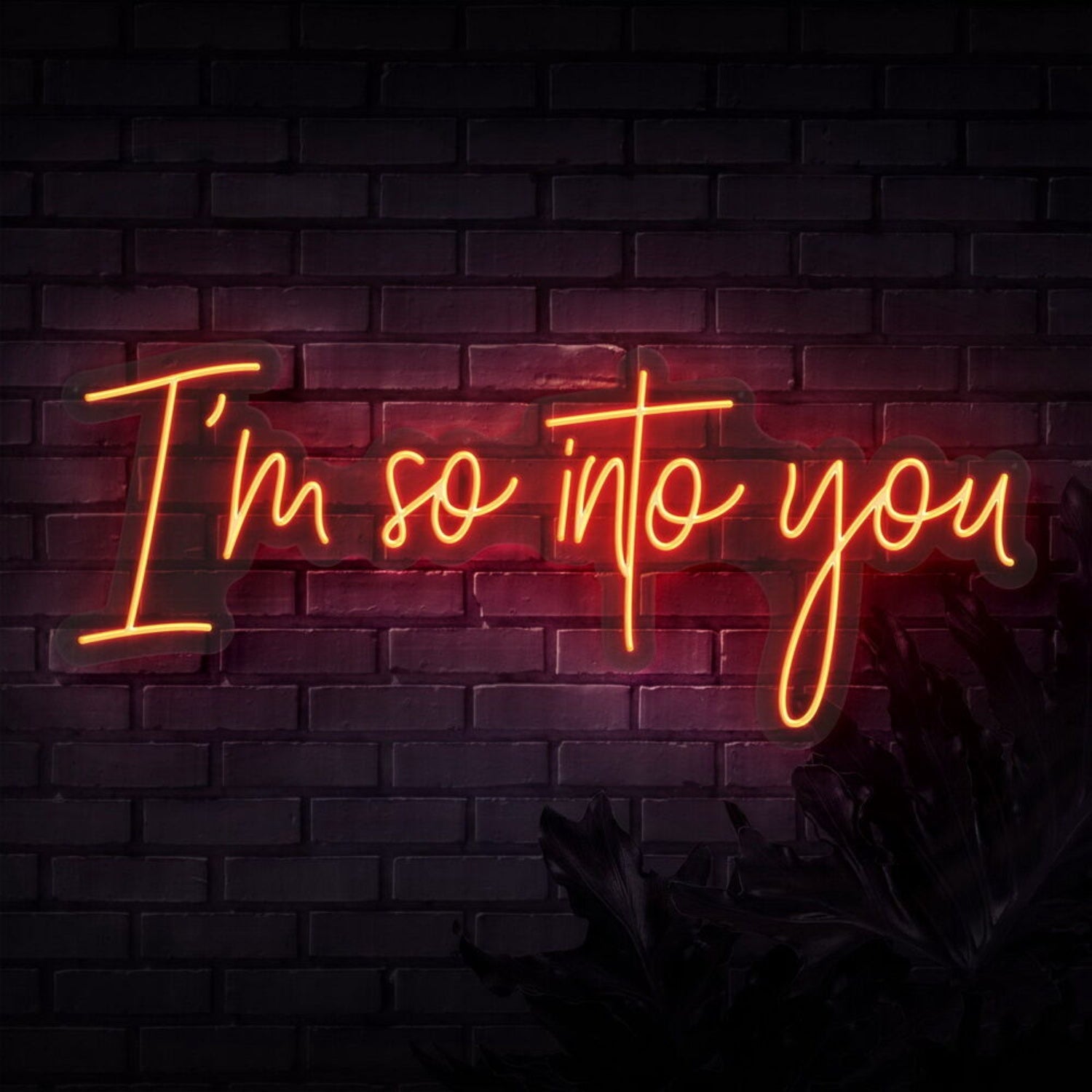 Im So Into You Neon Sign | Shineneon