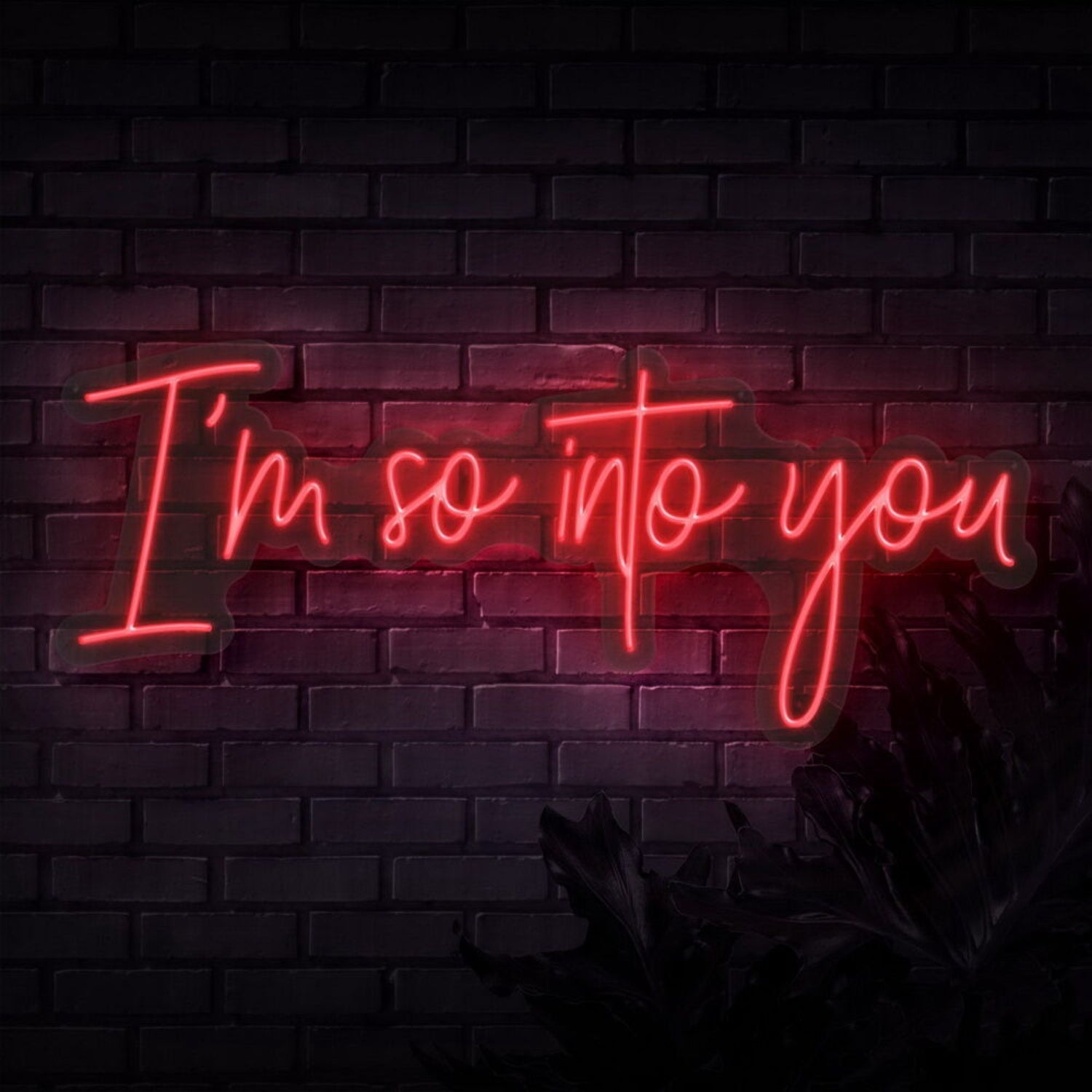 Im So Into You Neon Sign | Shineneon