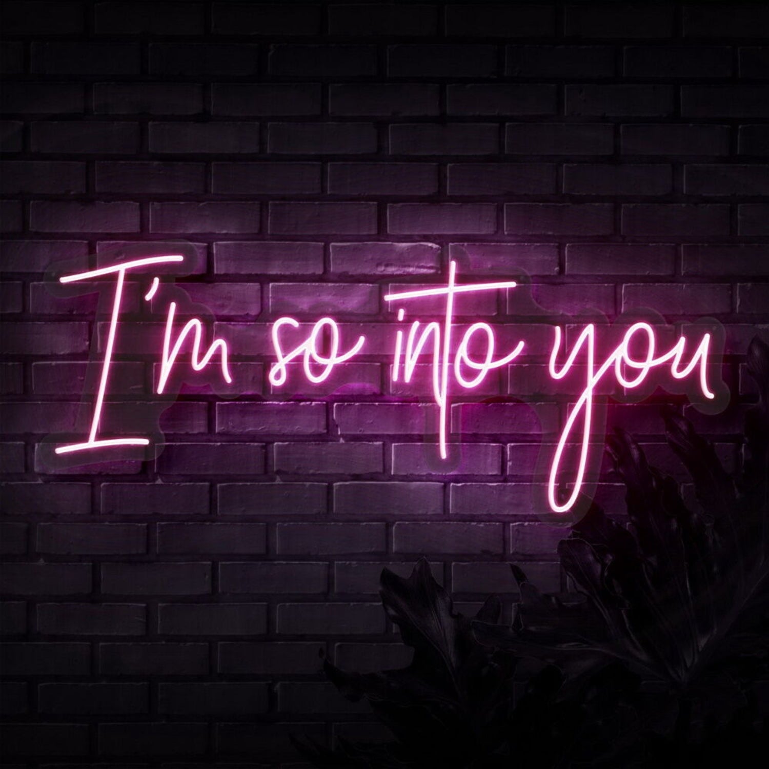 Im So Into You Neon Sign | Shineneon