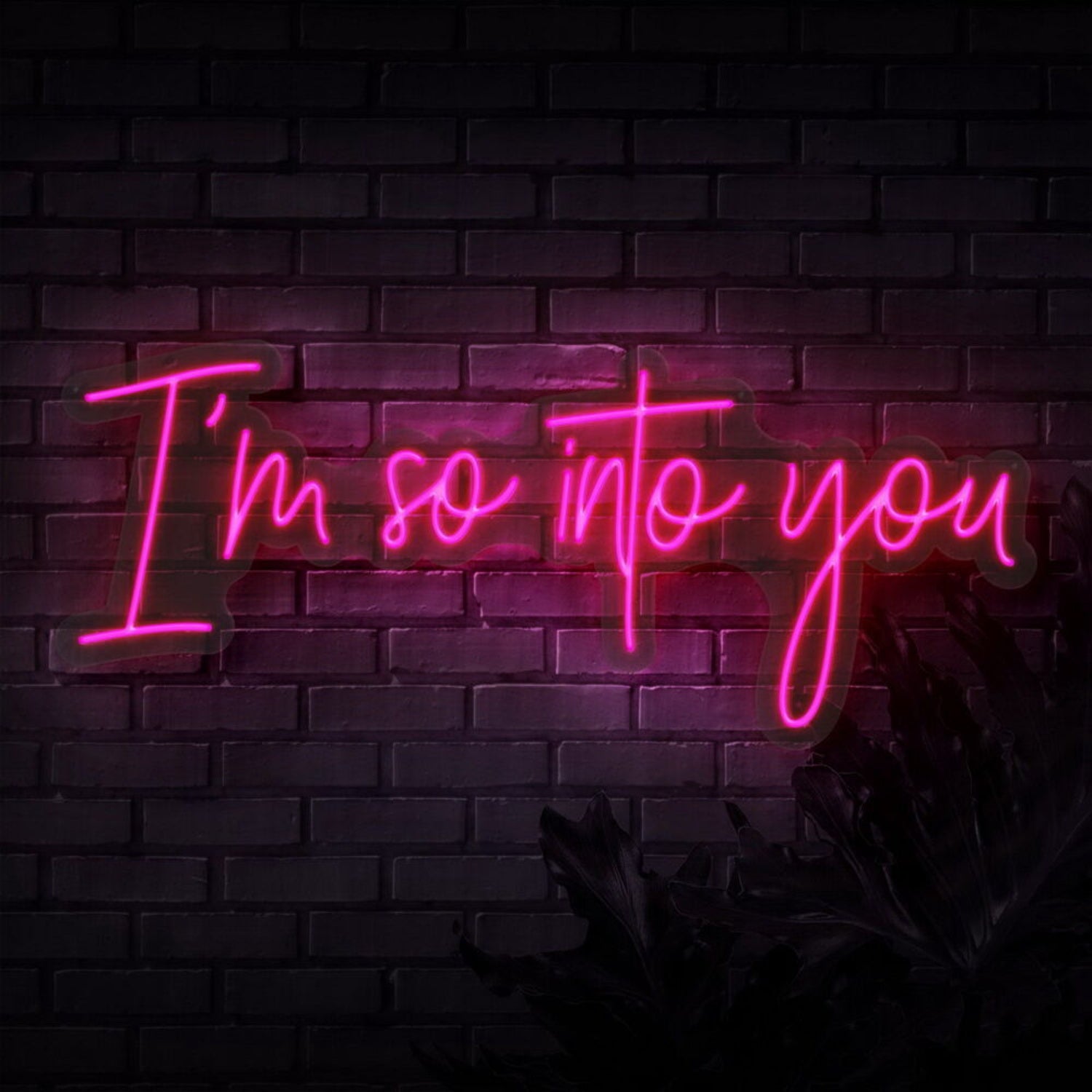 Im So Into You Neon Sign | Shineneon