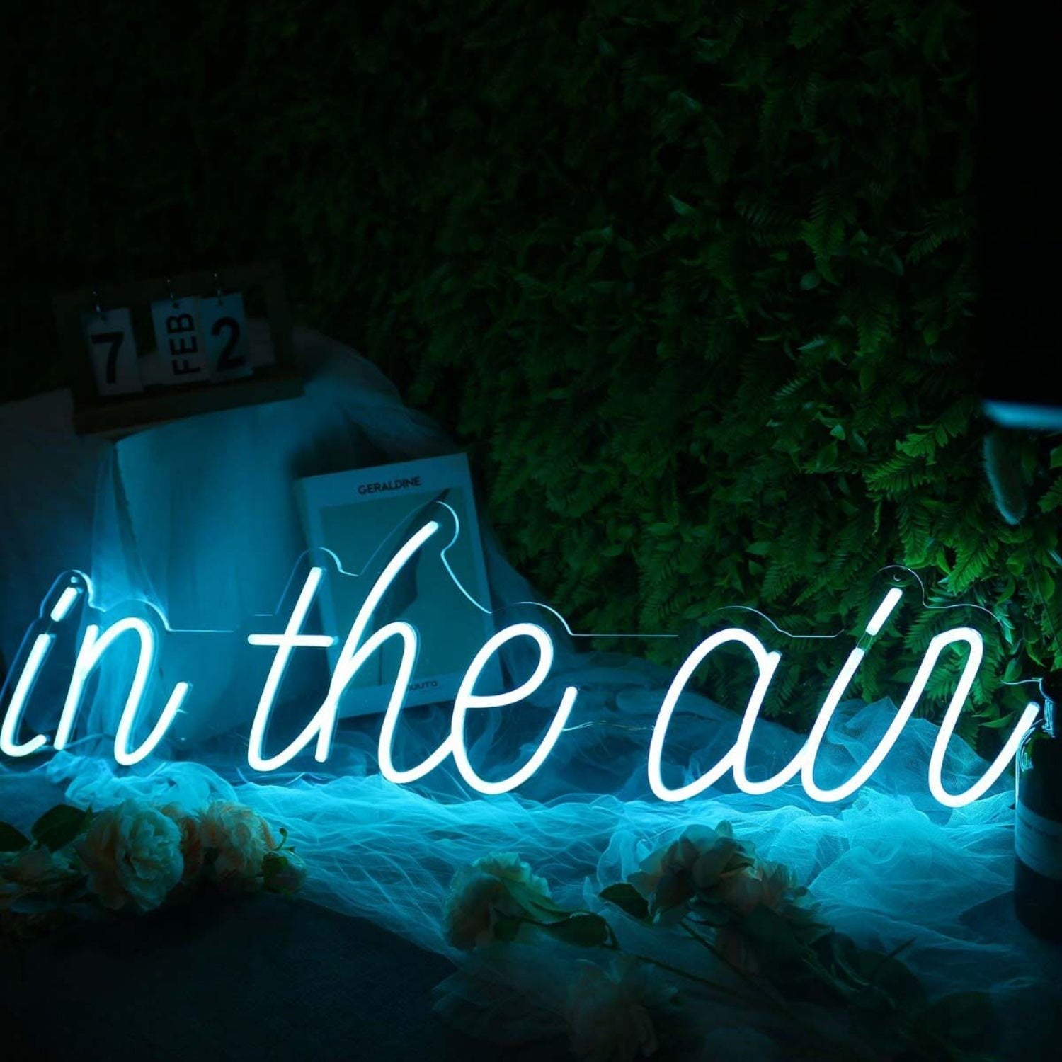 In The Air Blue Led Neon Sign - Shineneon