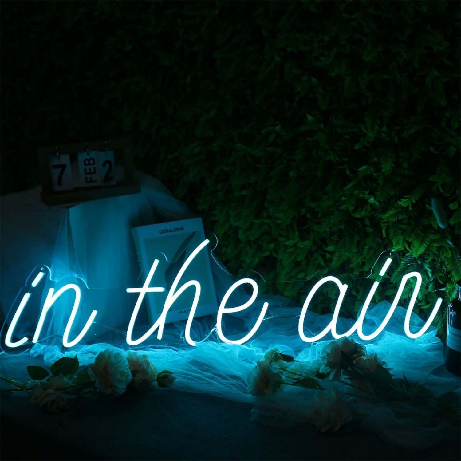 In The Air Blue Led Neon Sign - Shineneon
