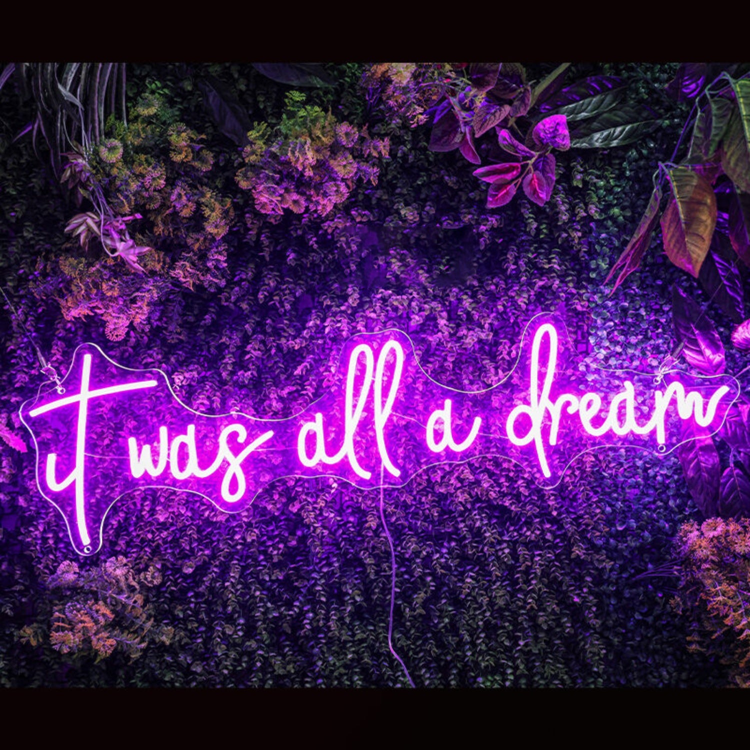 It Was All A Dream Led Neon Sign For Positive Spaces | Shineneon