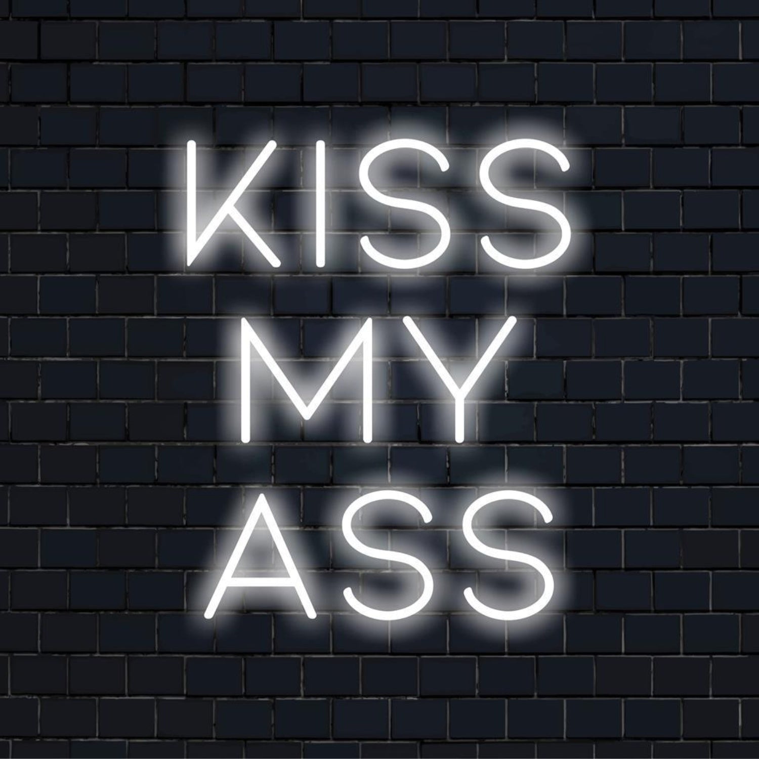Kiss My Ass White Line Led Neon Sign For Bar Studio Rebellious Decor | Shineneon