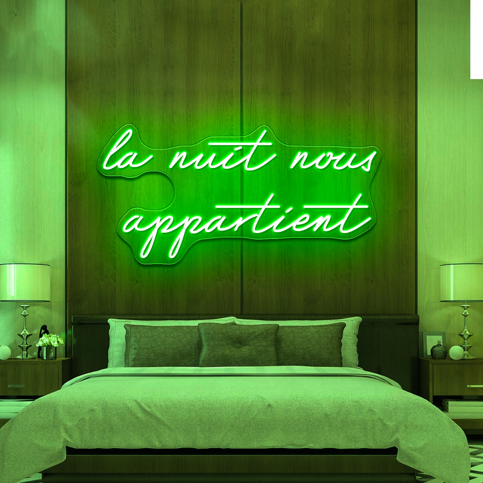 La Nuit Nous Appartient Led Neon Sign With Free Shipping - LED neon sign view 9