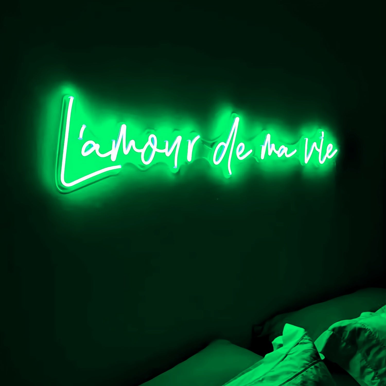 La Vie En Rose Neon Sign Radiate The Romantic Glow | Shineneon