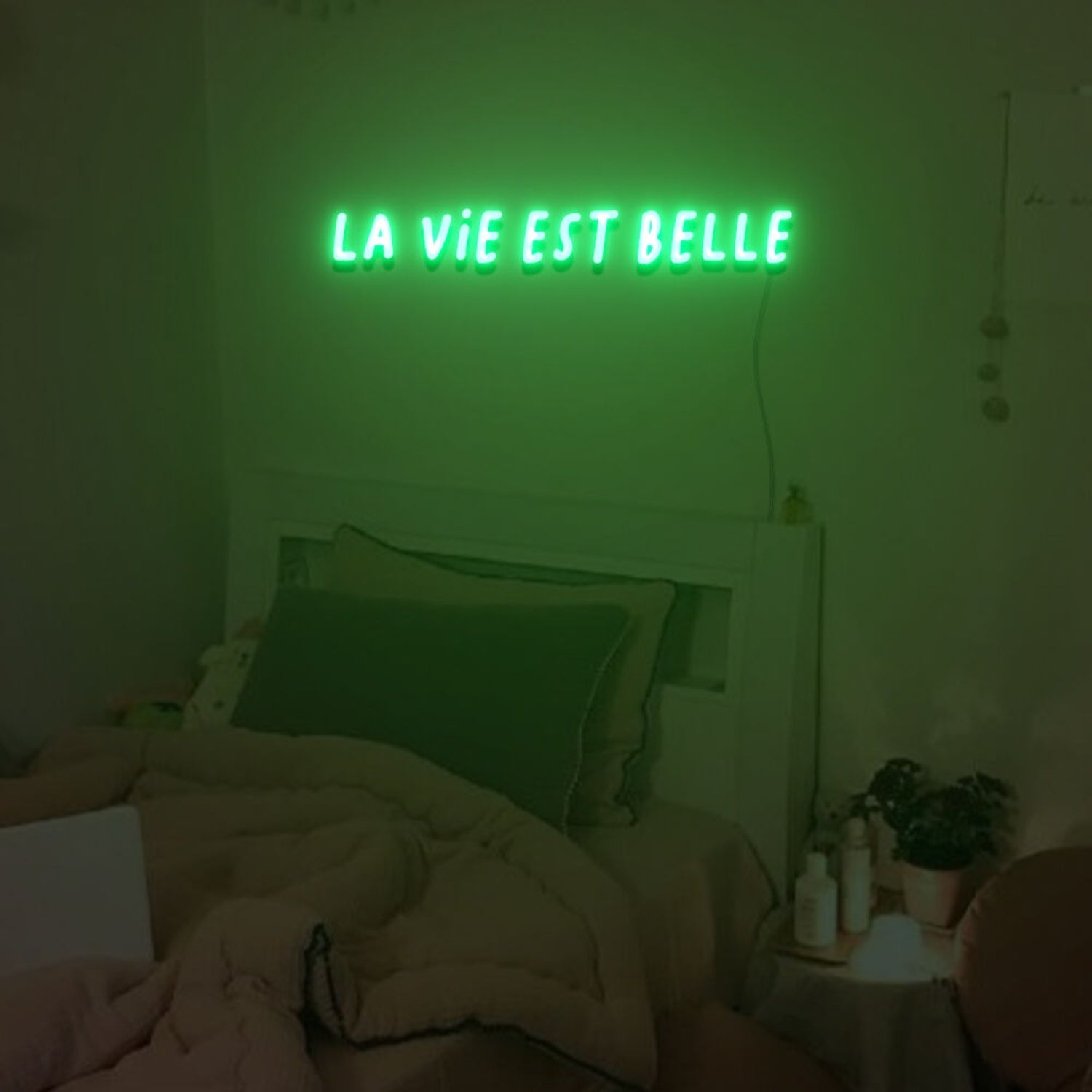 La Vie Est Belle Neon Sign For Home Party | Shineneon