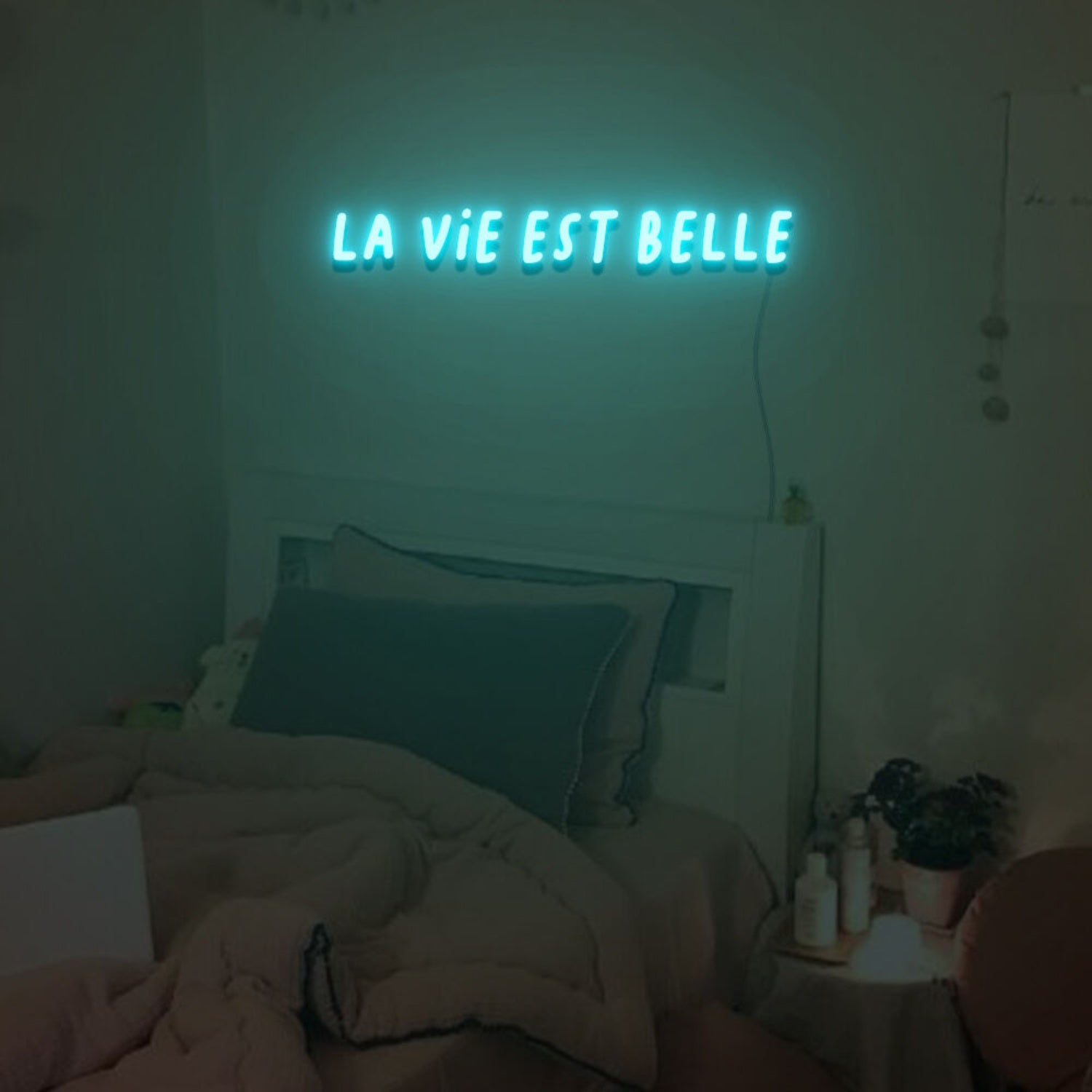 La Vie Est Belle Neon Sign For Home Party | Shineneon
