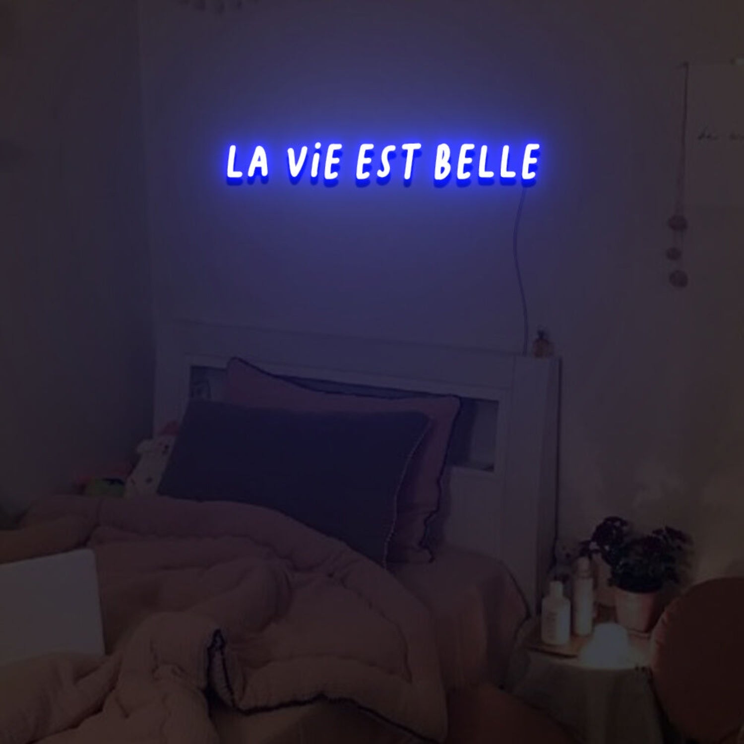 La Vie Est Belle Neon Sign For Home Party | Shineneon