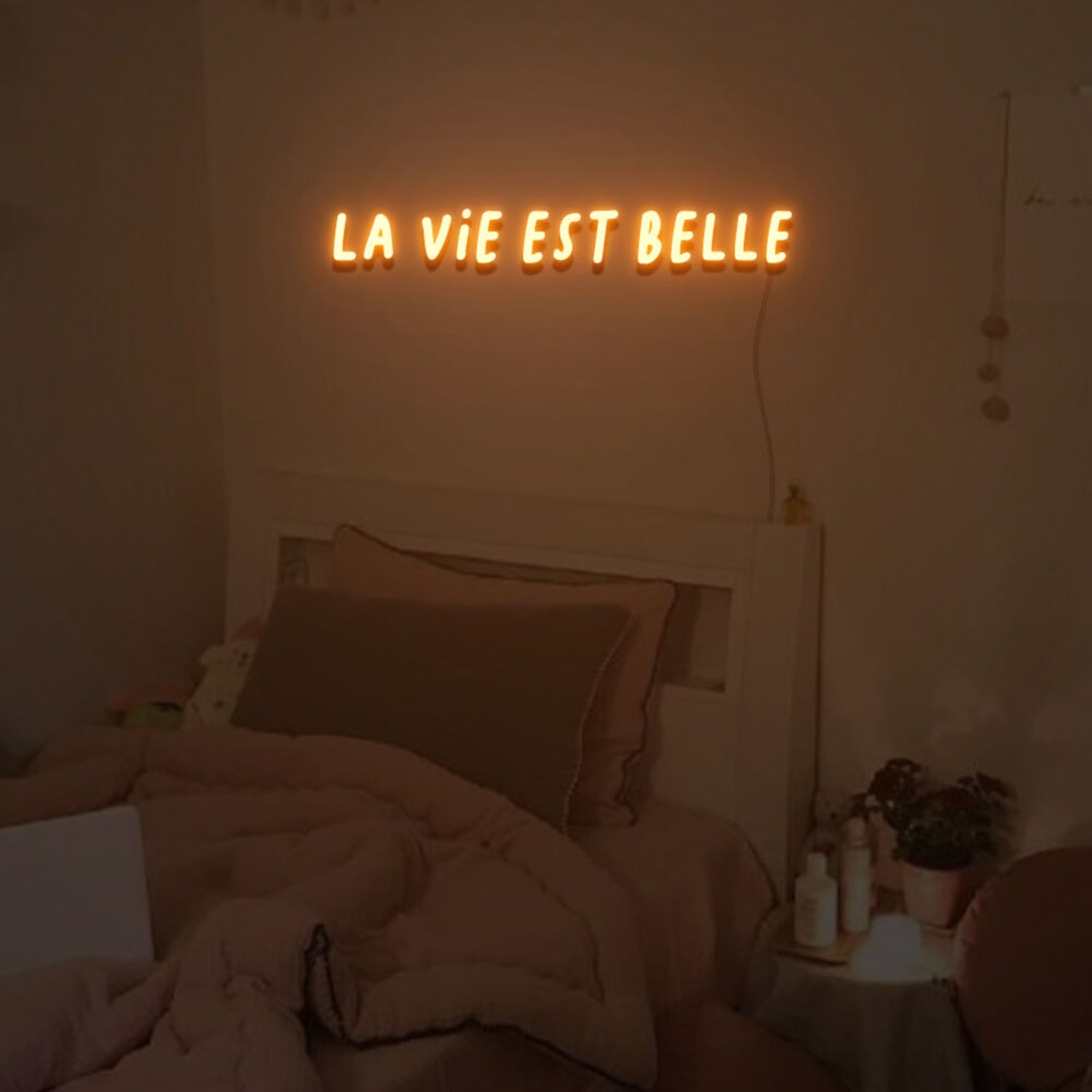 La Vie Est Belle Neon Sign For Home Party | Shineneon