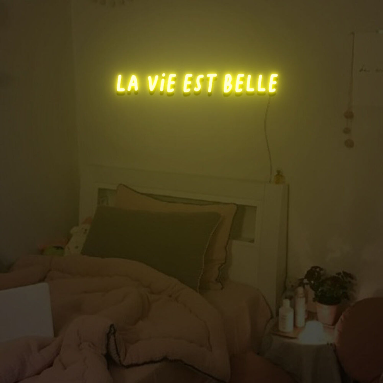 La Vie Est Belle Neon Sign For Home Party | Shineneon