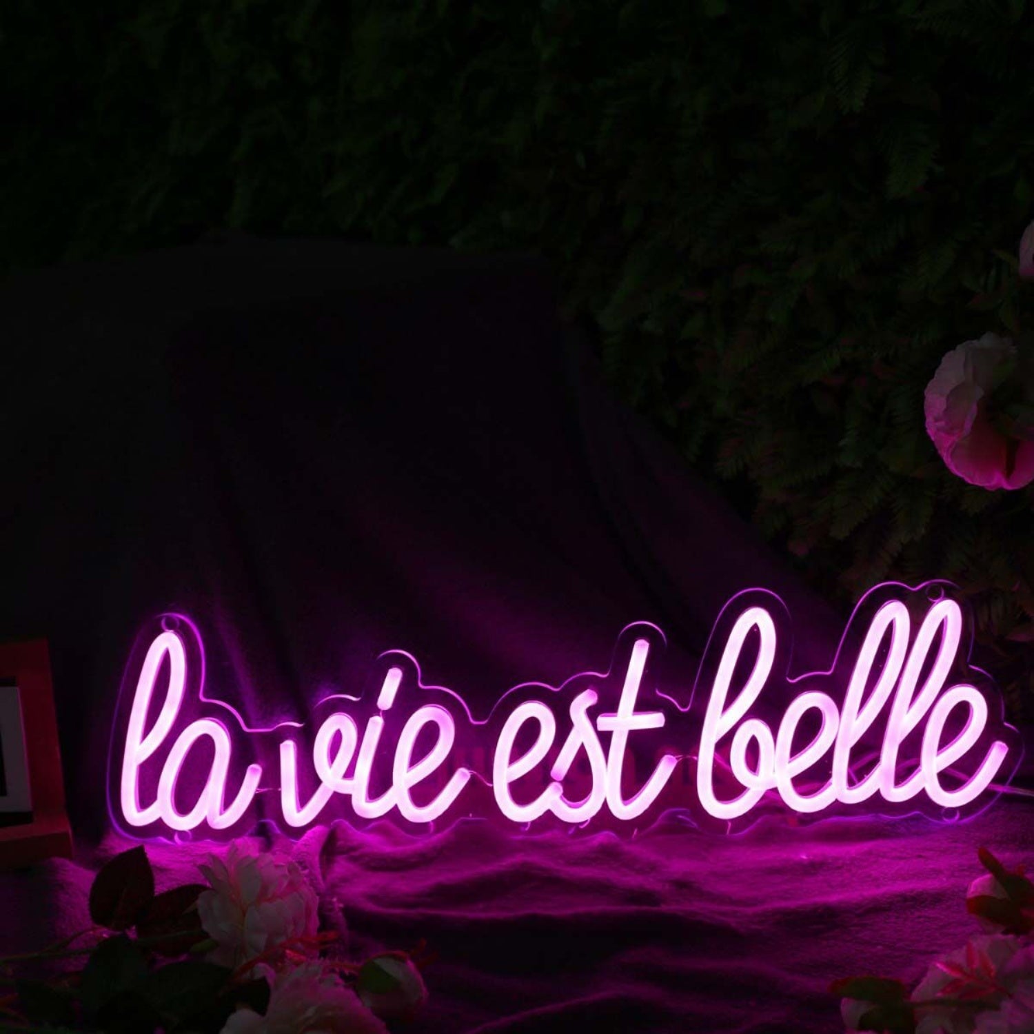 La Vie Est Belle Pink Led Neon Sign - Shineneon