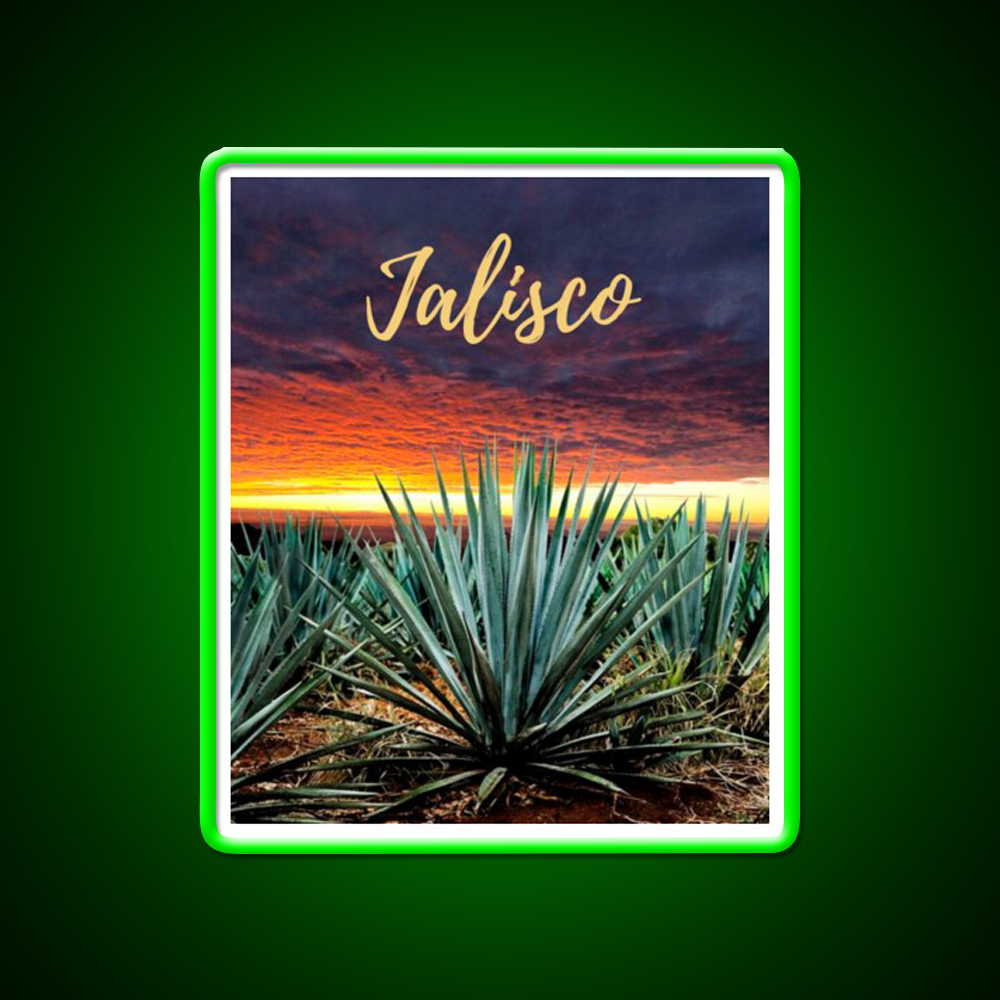 Landscape Mexico Tequila Beer Bar Decor Led Neon Sign Rgb Color - LED neon sign view 8