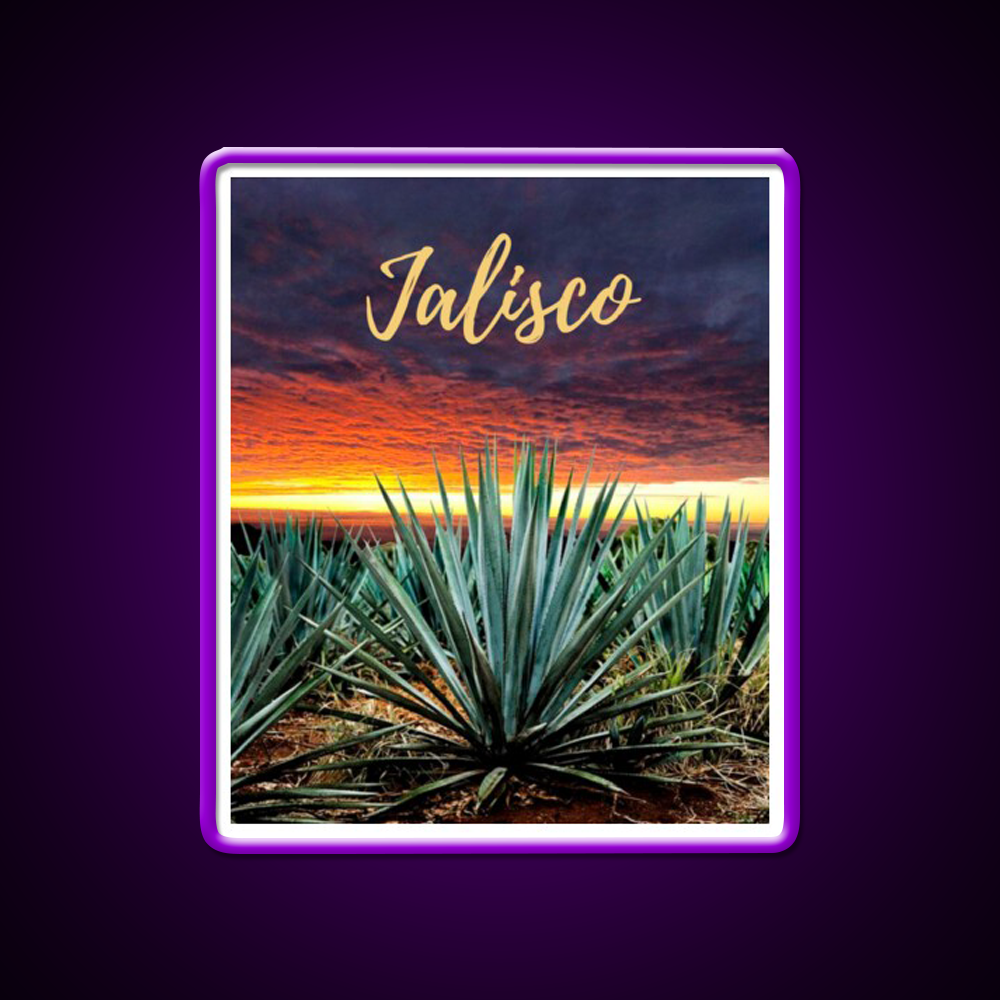 Landscape Mexico Tequila Beer Bar Decor Led Neon Sign Rgb Color - LED neon sign view 9