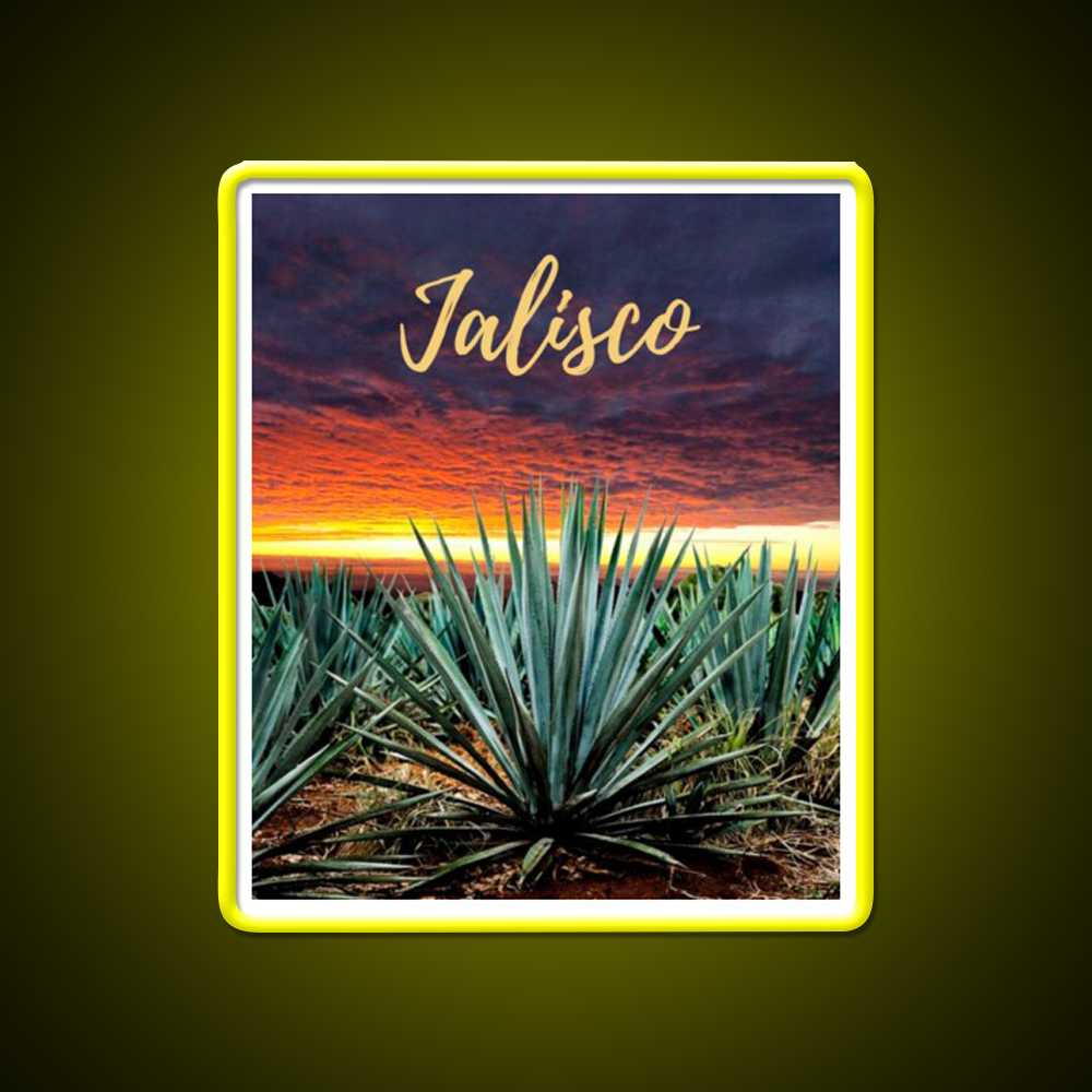Landscape Mexico Tequila Beer Bar Decor Led Neon Sign Rgb Color - LED neon sign view 7