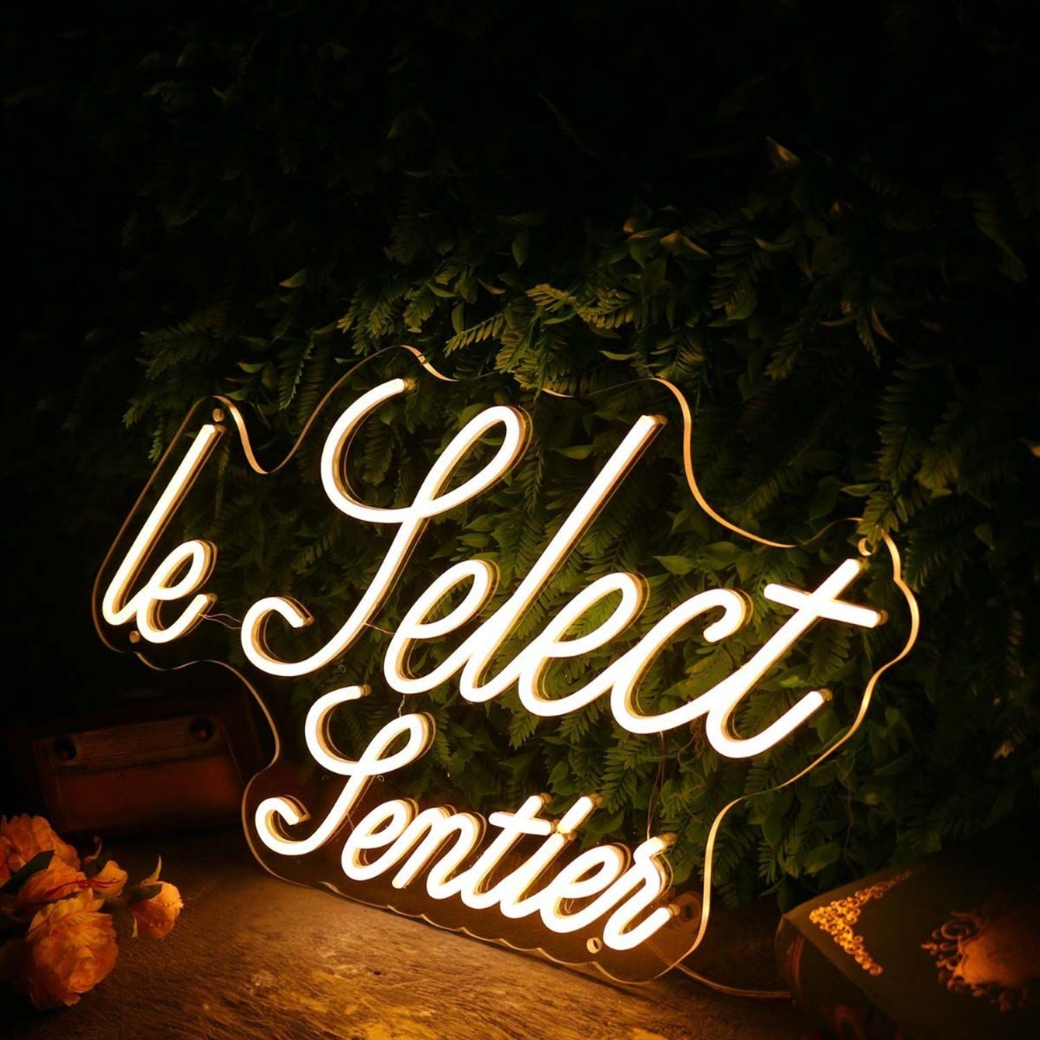Le Pelect Pentien Led Neon Sign - Shineneon