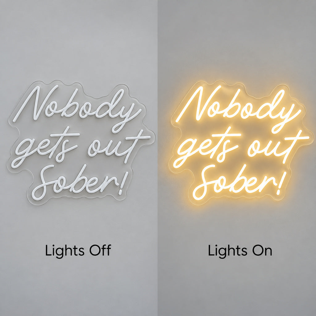 Nobody Gets Out Sober LED Neon Sign lights off/on